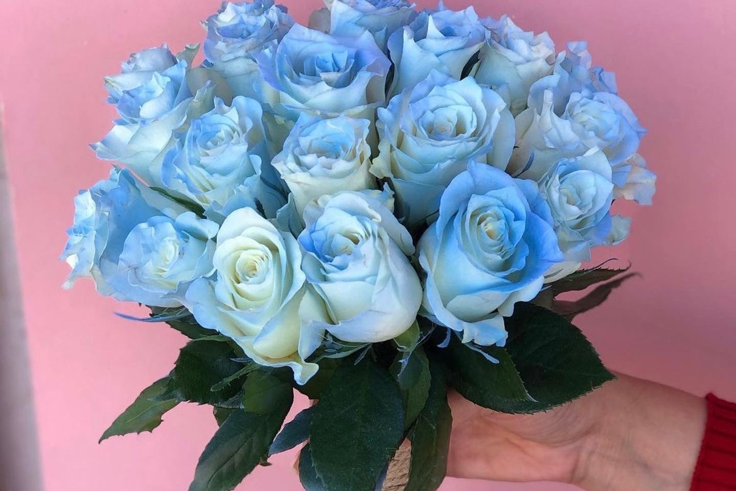 Natural Roses Blue