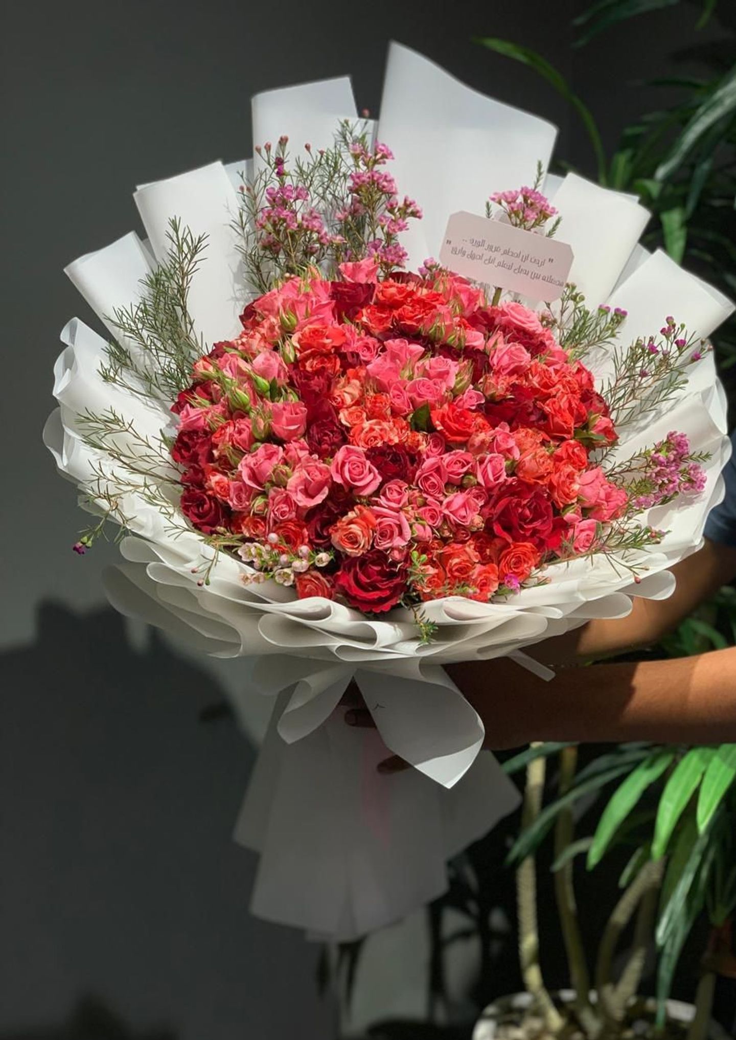 Mix Baby Rose 3