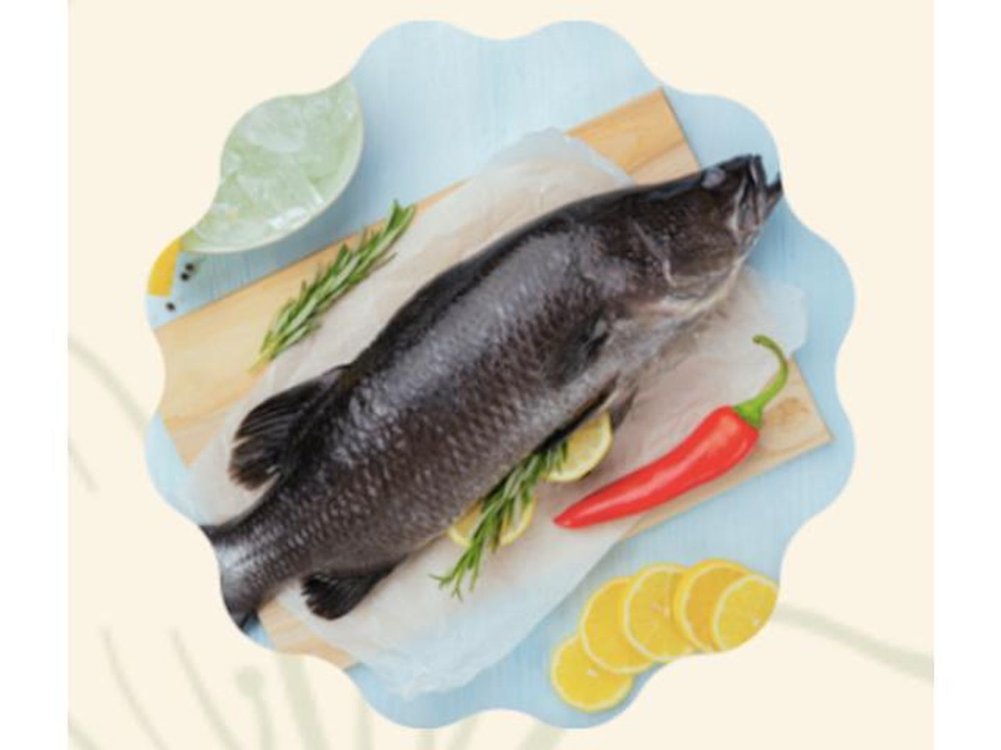 Sea Bass Singari Oven