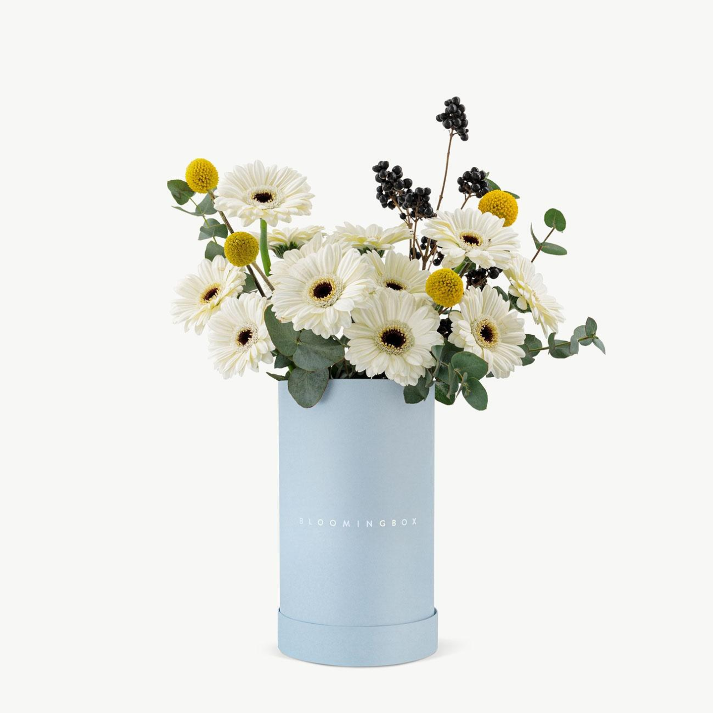 Cotton Blue Tall Assortment