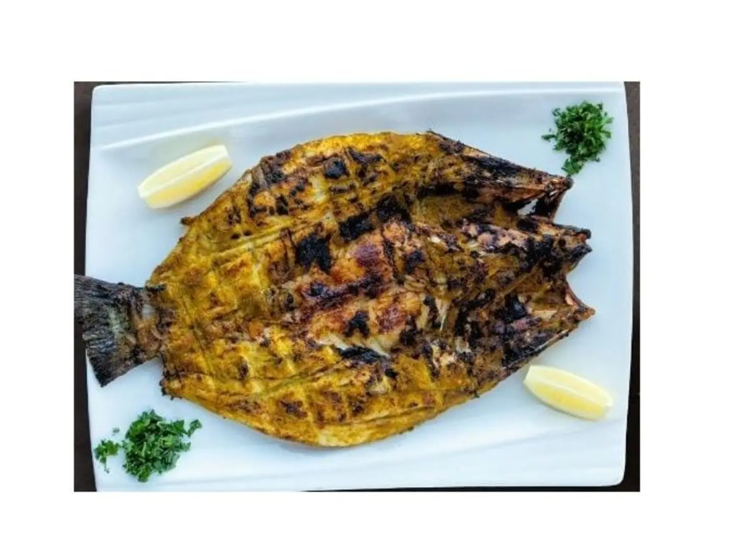 Sea Bass