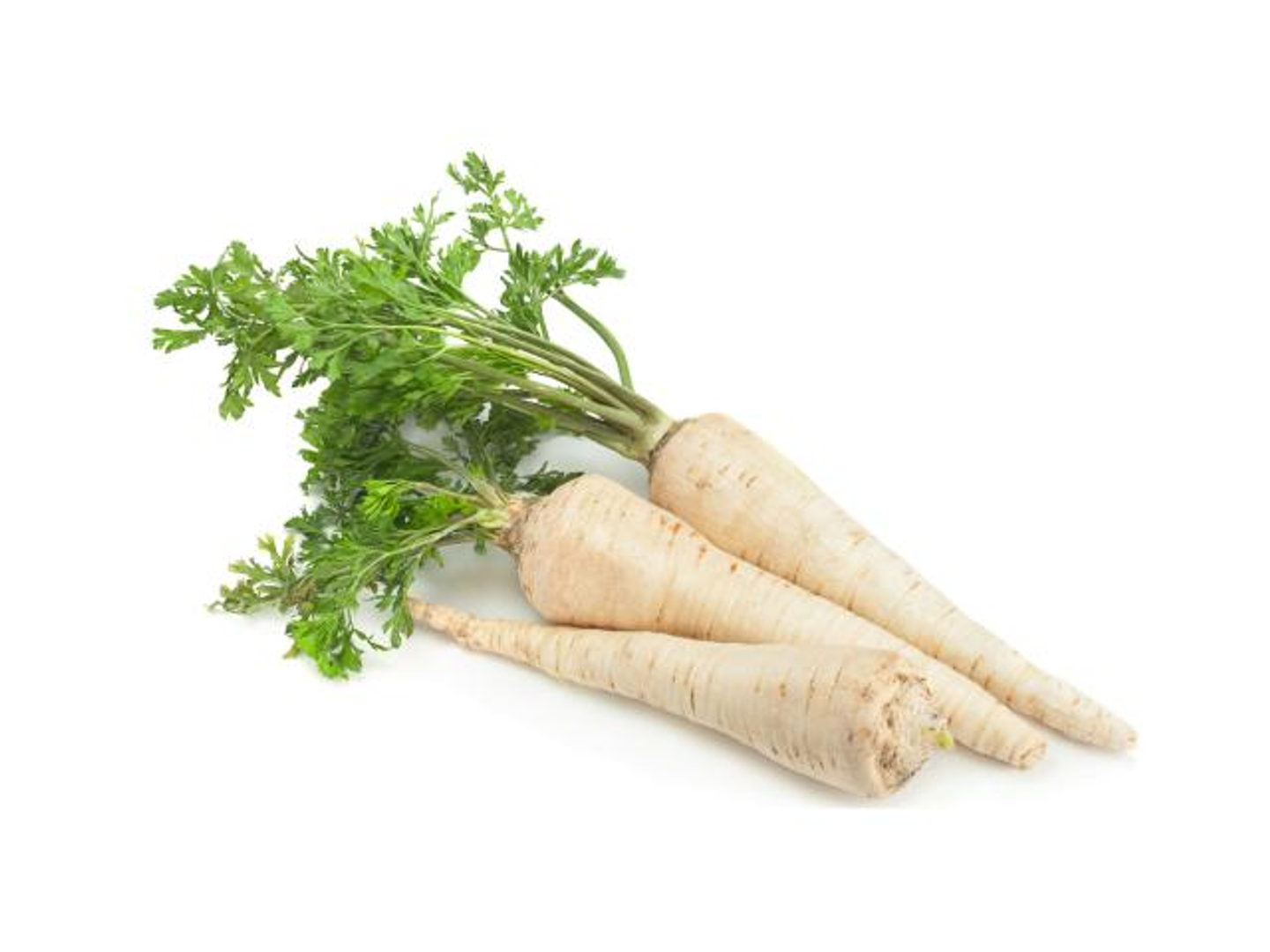 White Carrot