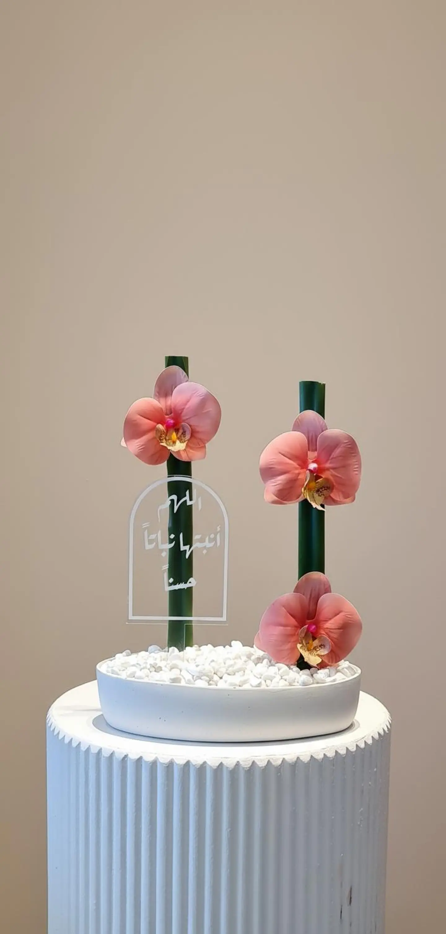 Newborn Girl Gift 88