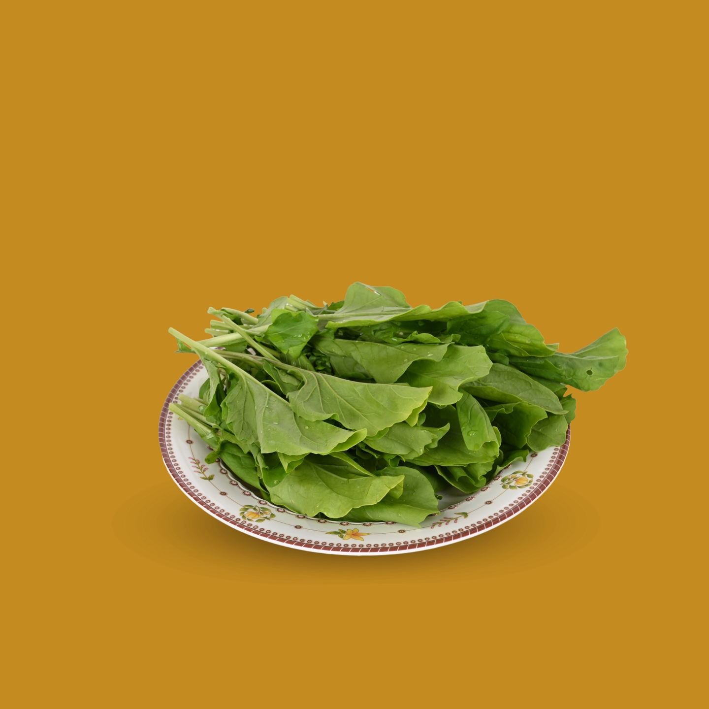 Fresh Watercress