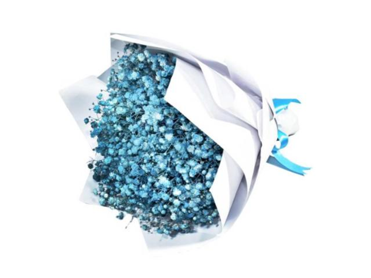 باقه جبسوفيليا