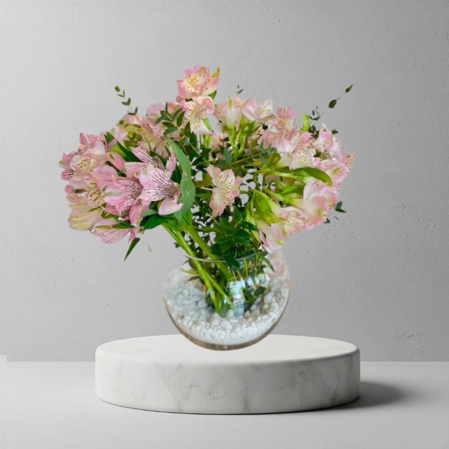 فازا الاستوموريا