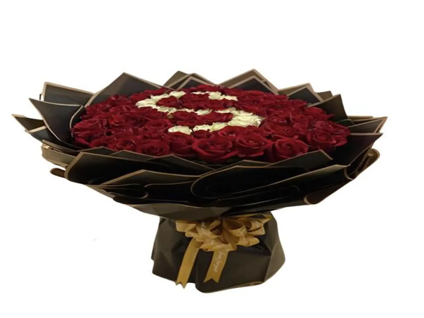 الطاووس الأحمر