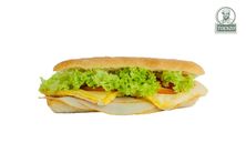 شيباتا تيركي