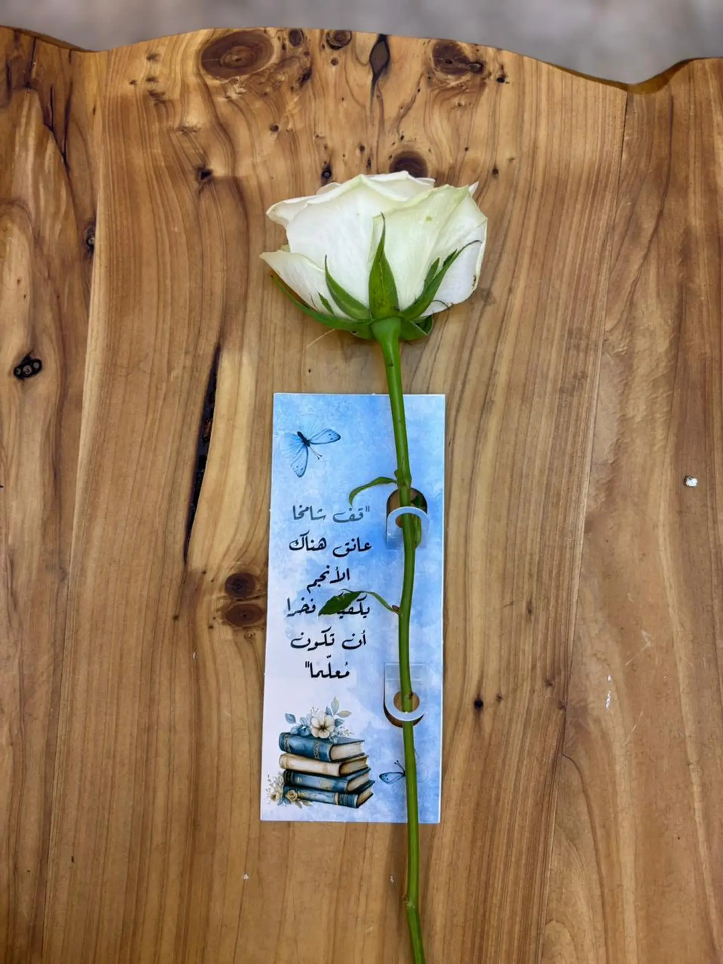 توزيعات المعلم 3