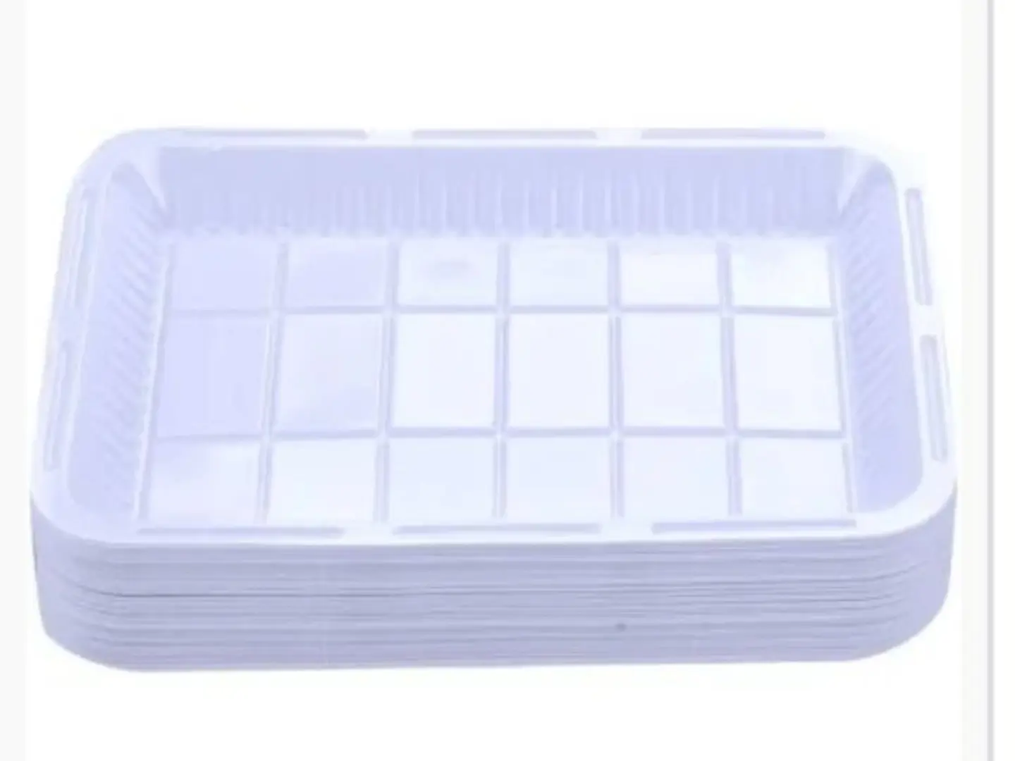 صحون طعام وسط