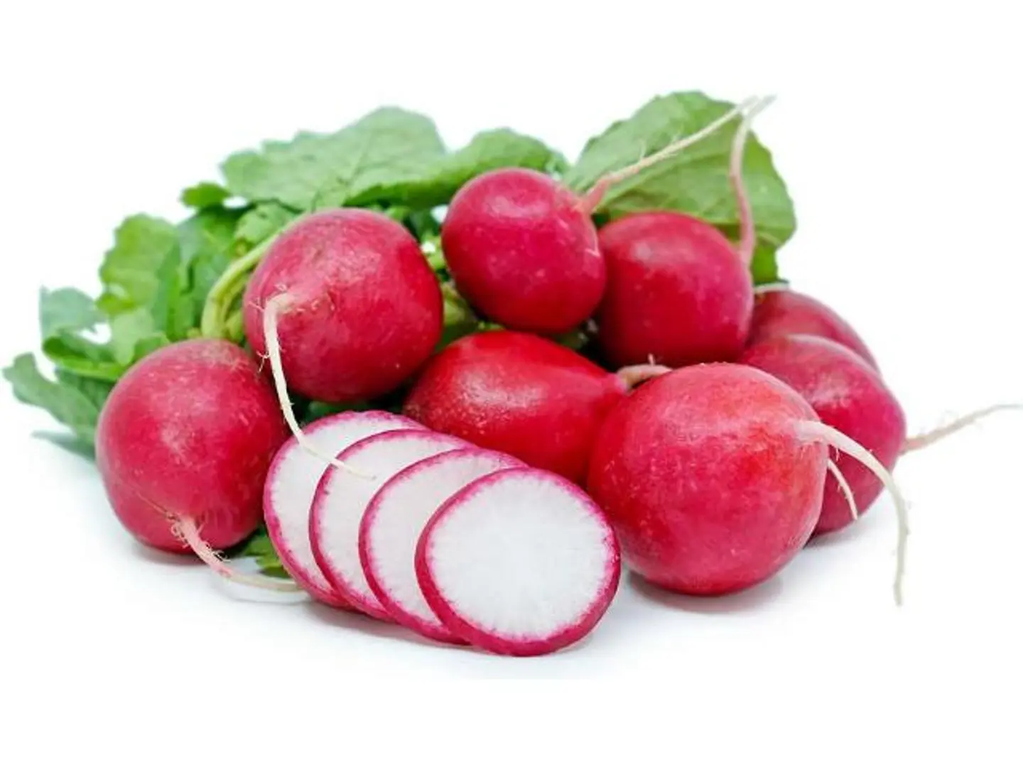 Radish