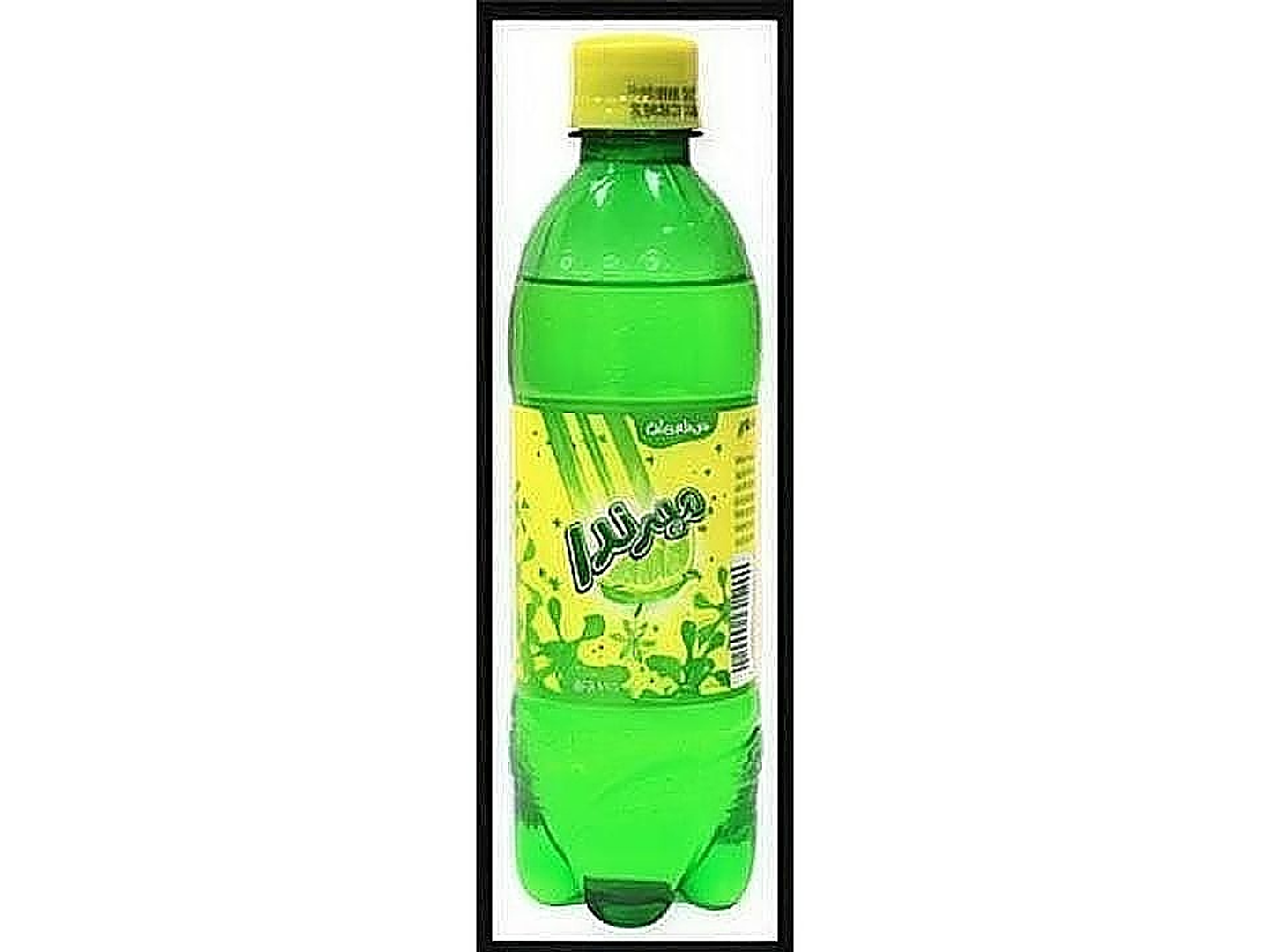 Citrus Medium
