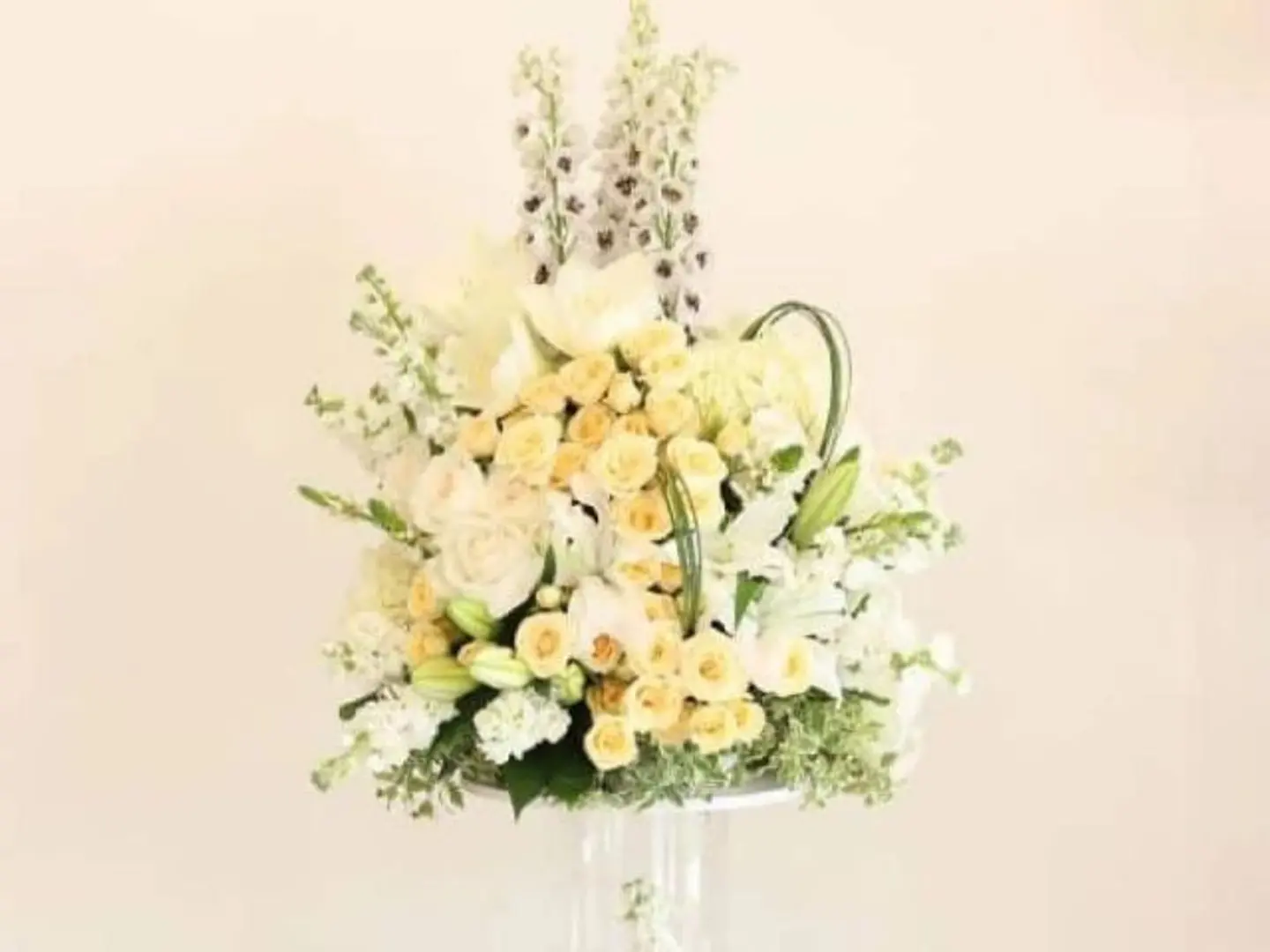 أناقة بيضاء