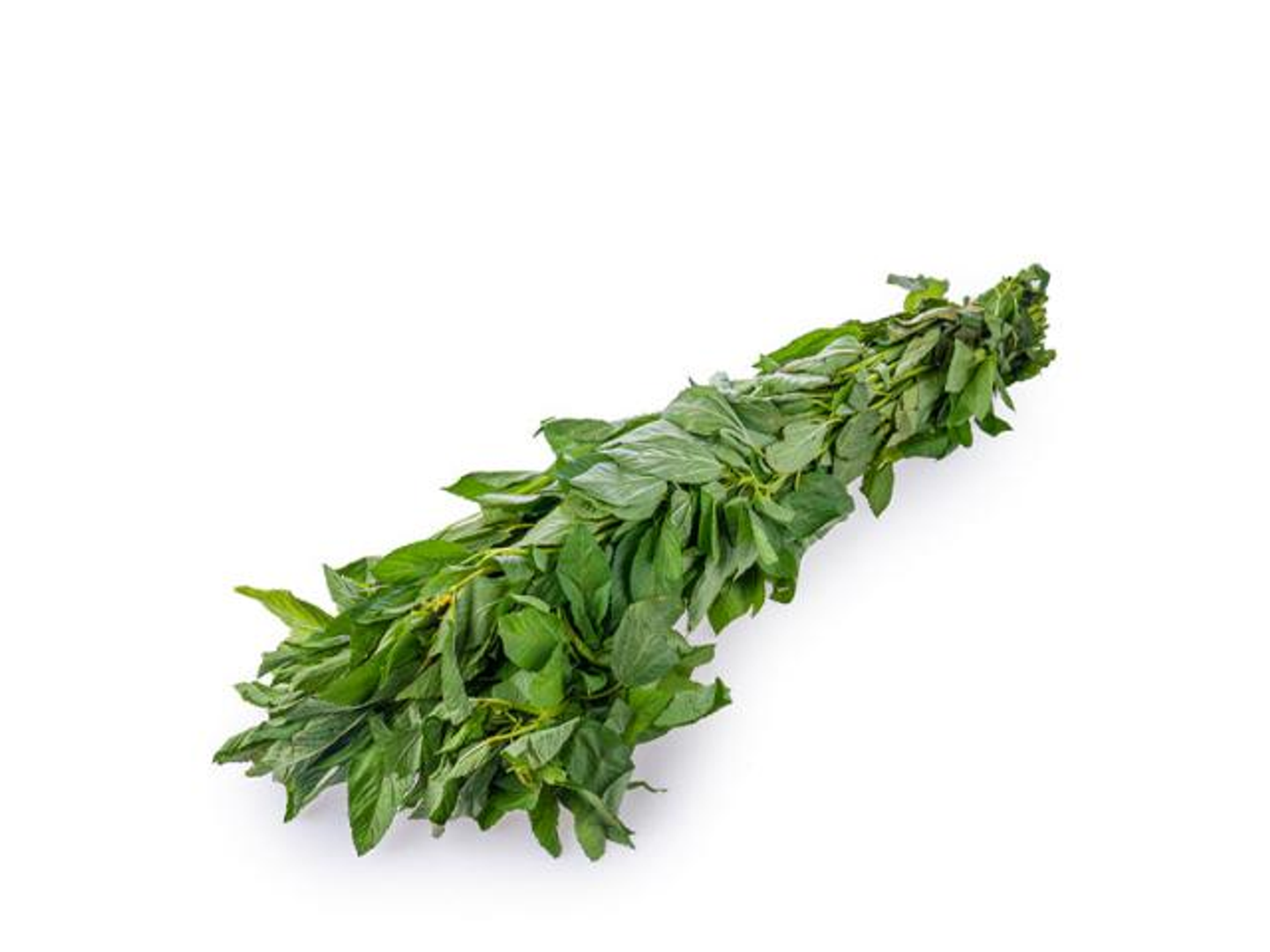ملوخية طويل حزمه