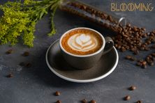 لاتيه