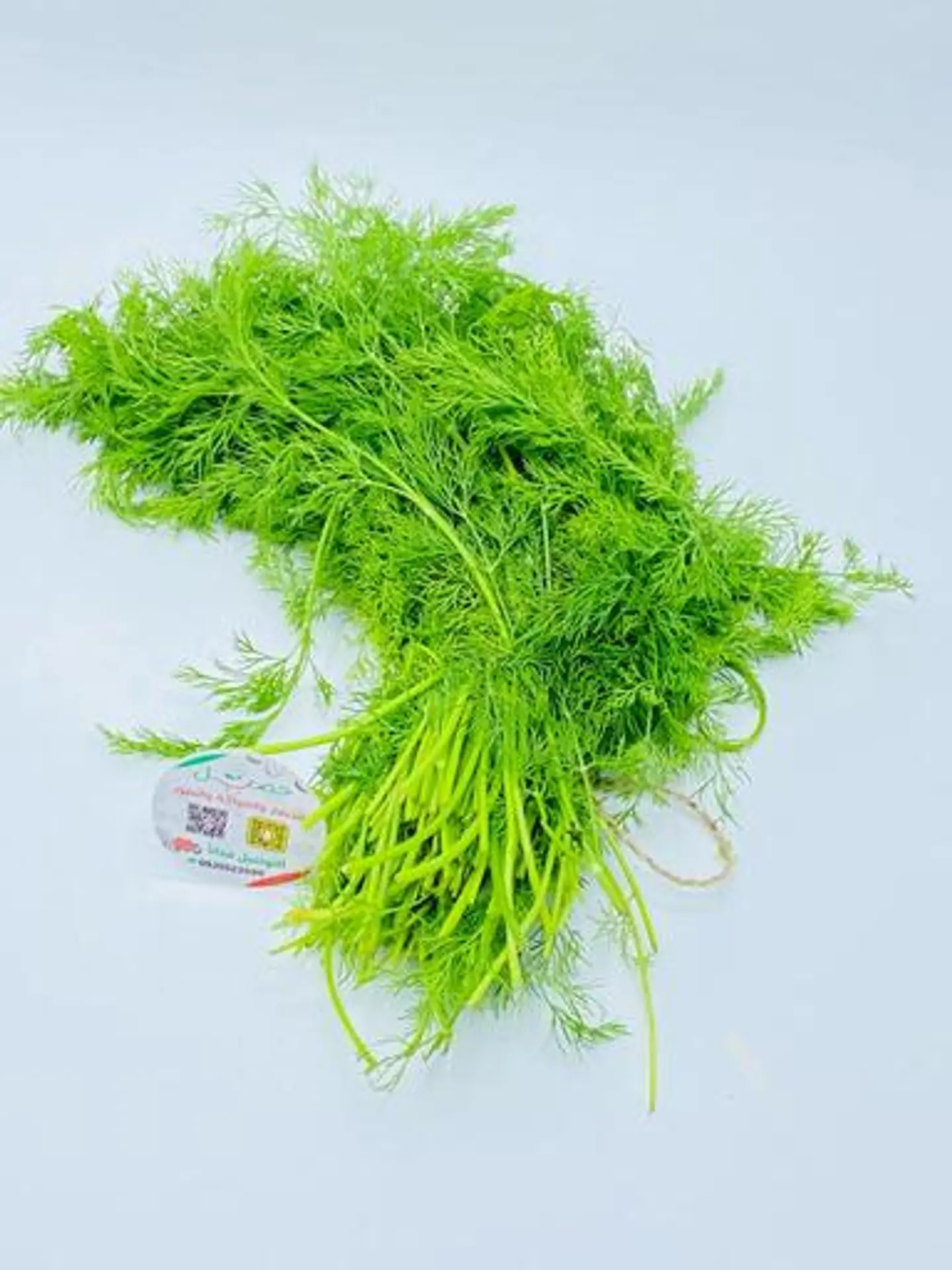 Dill Bundle