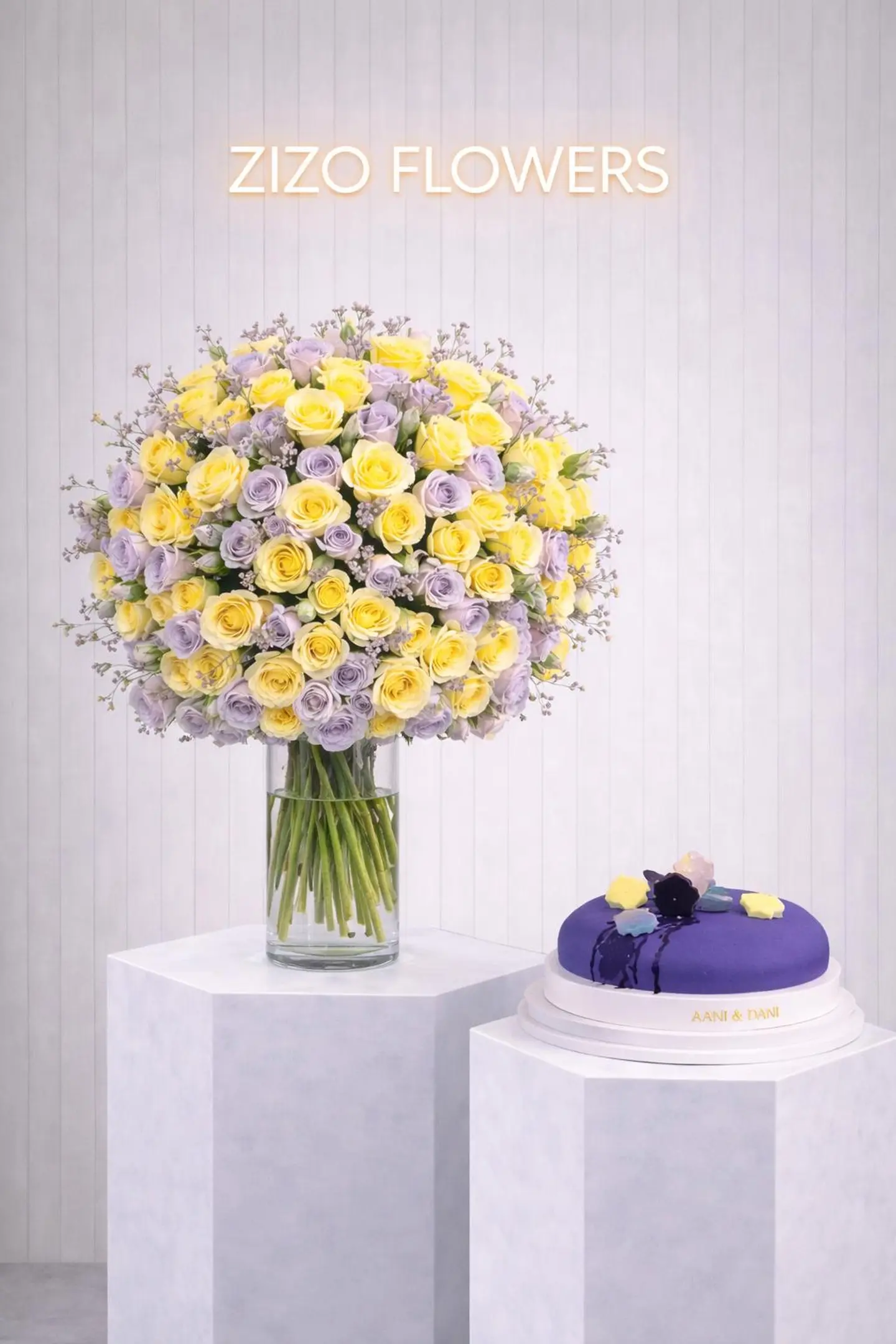 Rose With Cake, Ani Dani 17