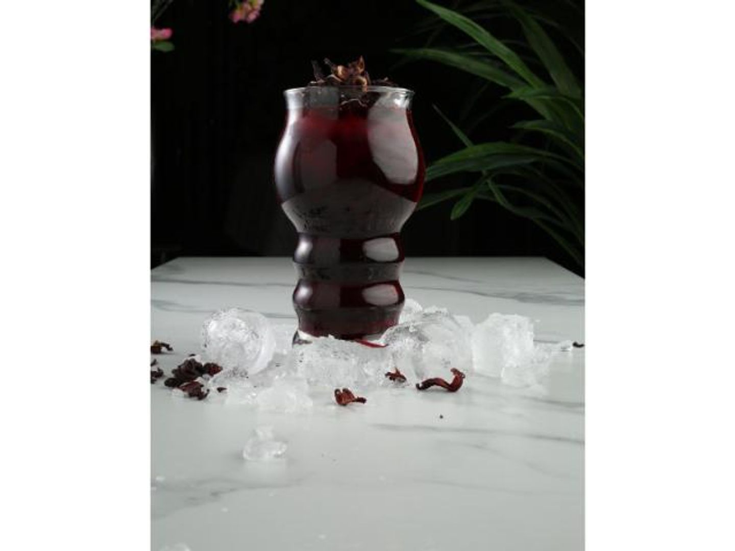 Ice Hibiscus