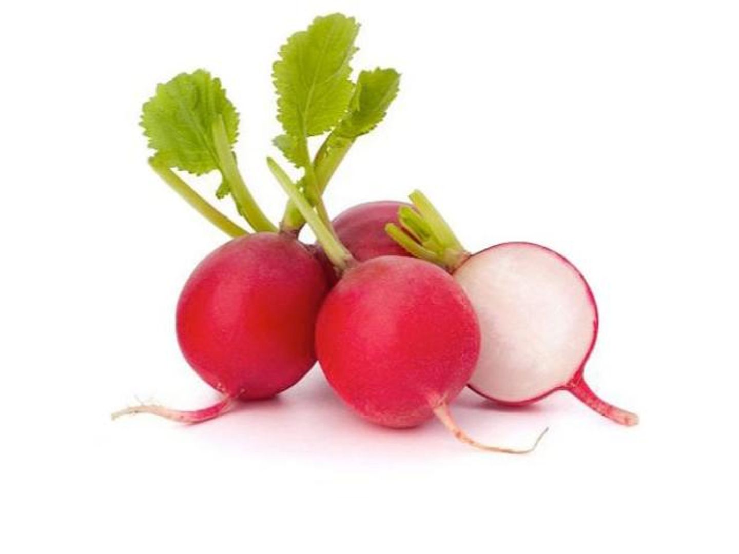 فجل