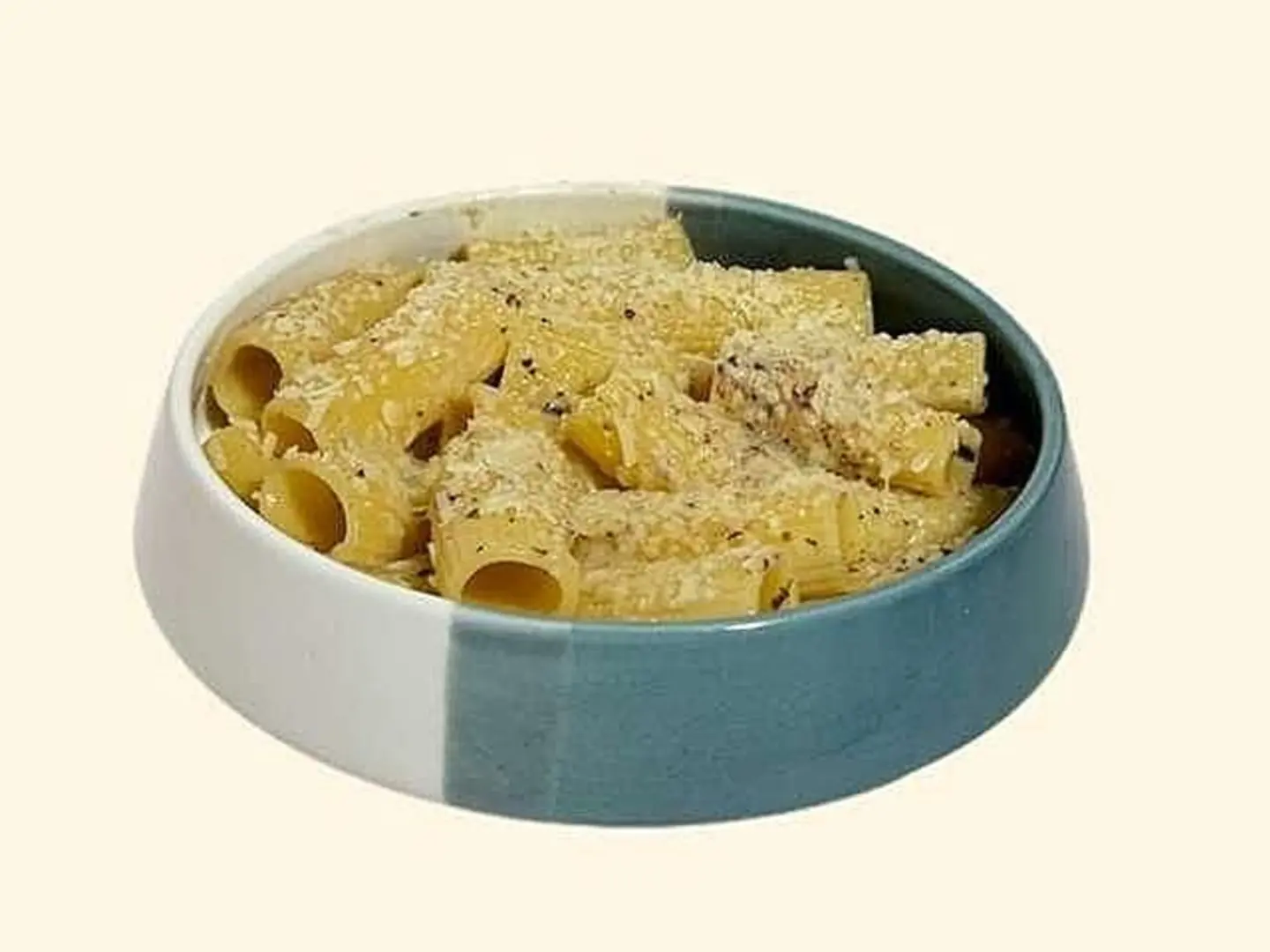 Rigatoni Truffle Pasta