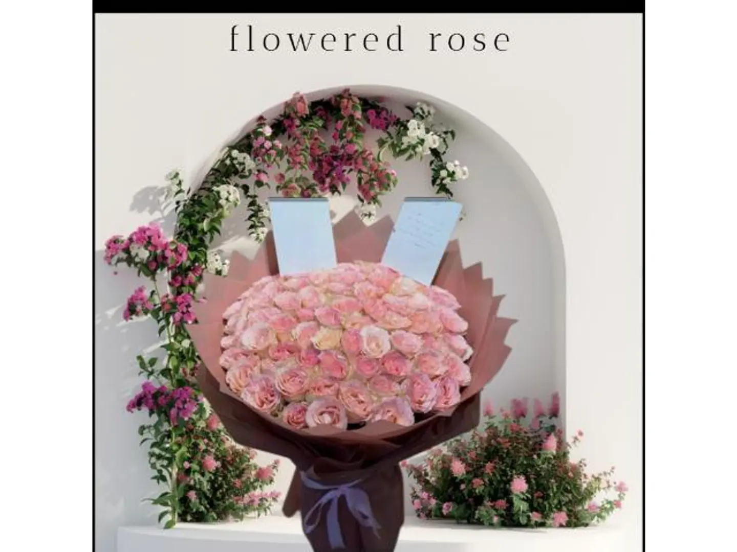 باقه السبرنس ٢