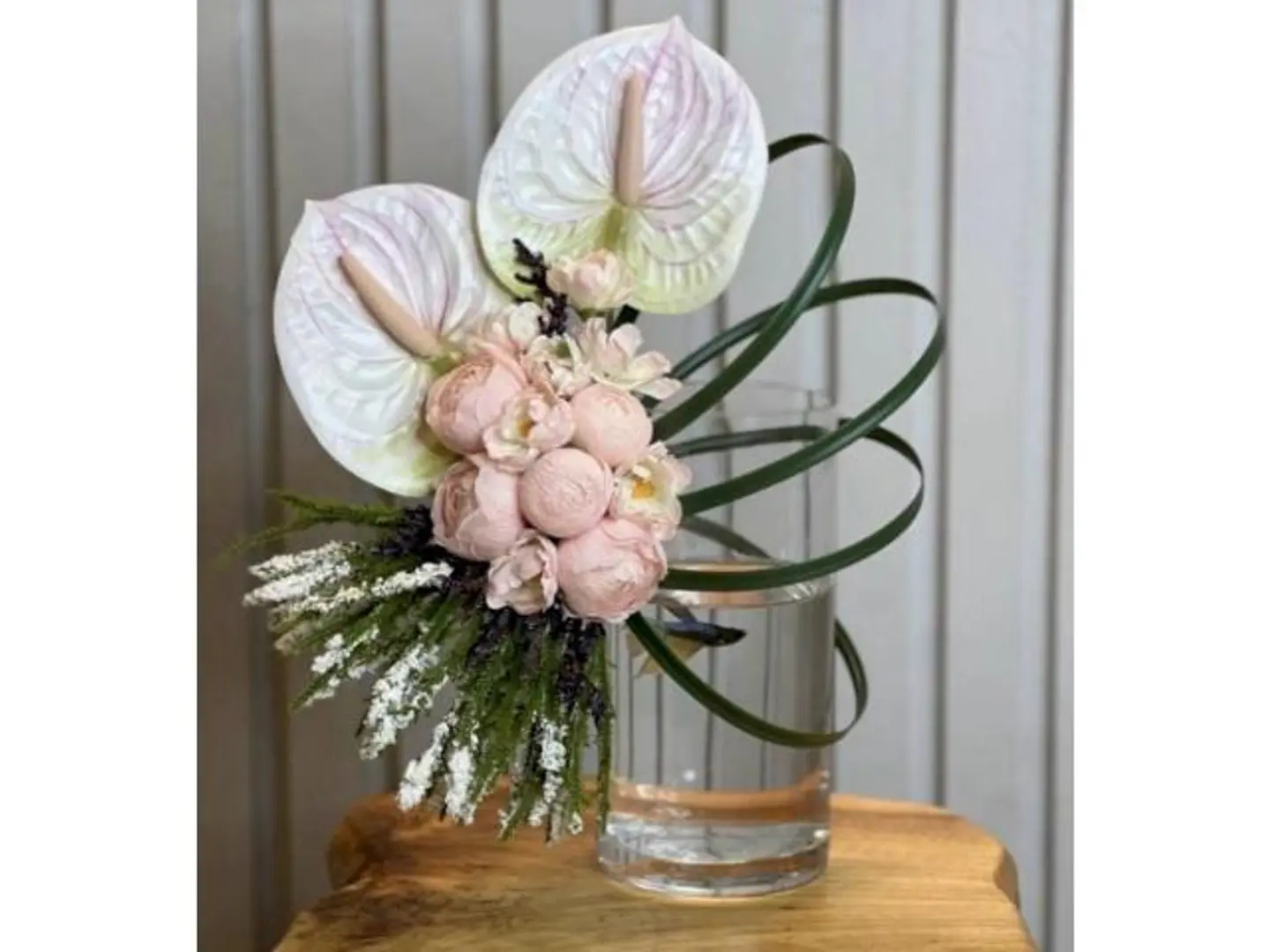 فازة السمك الفايتر