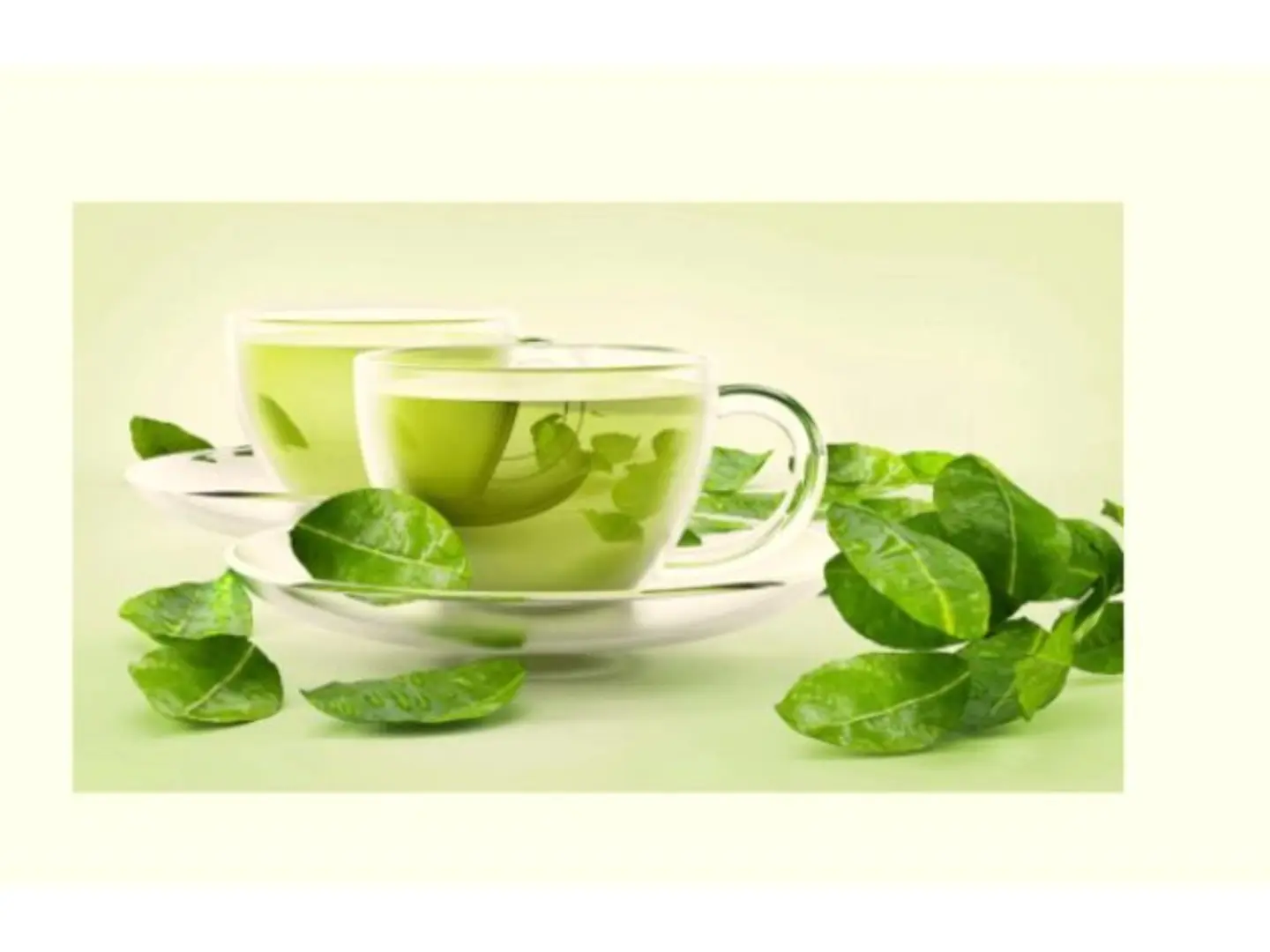 Green Tea Cup