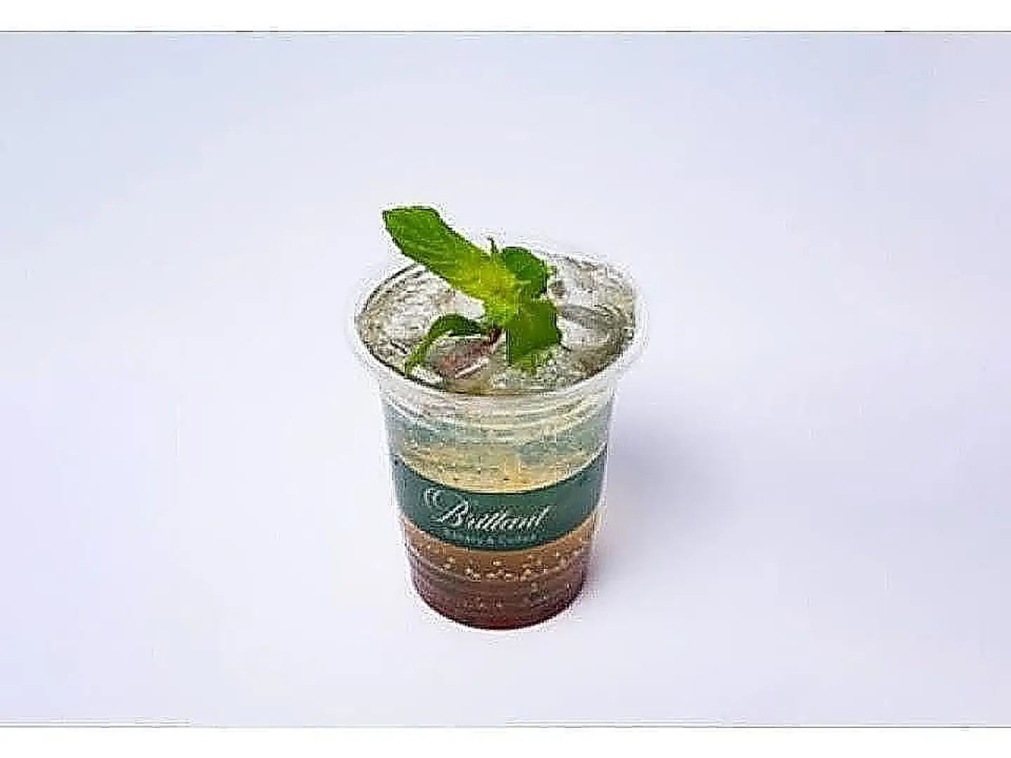 خليط الاناناس والفاكهة الحامضة