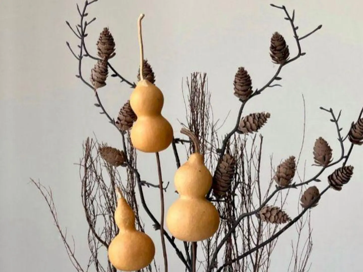 فازه تقديم مبلغ مال