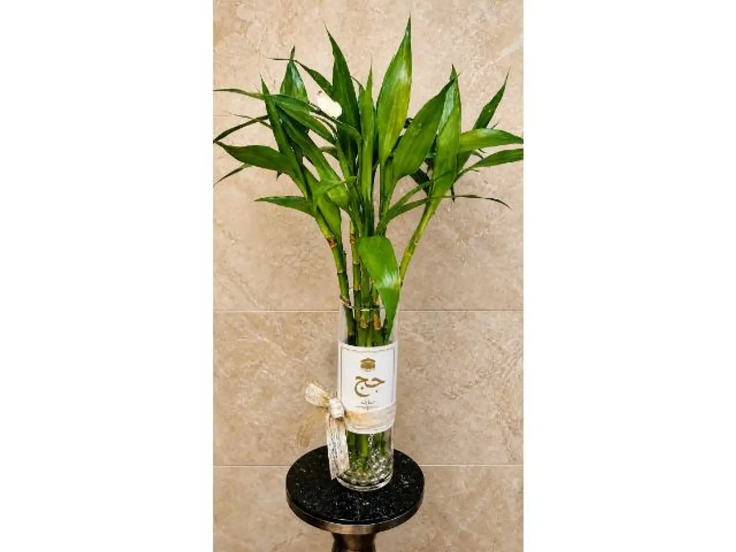 Bamboo Plant Vase