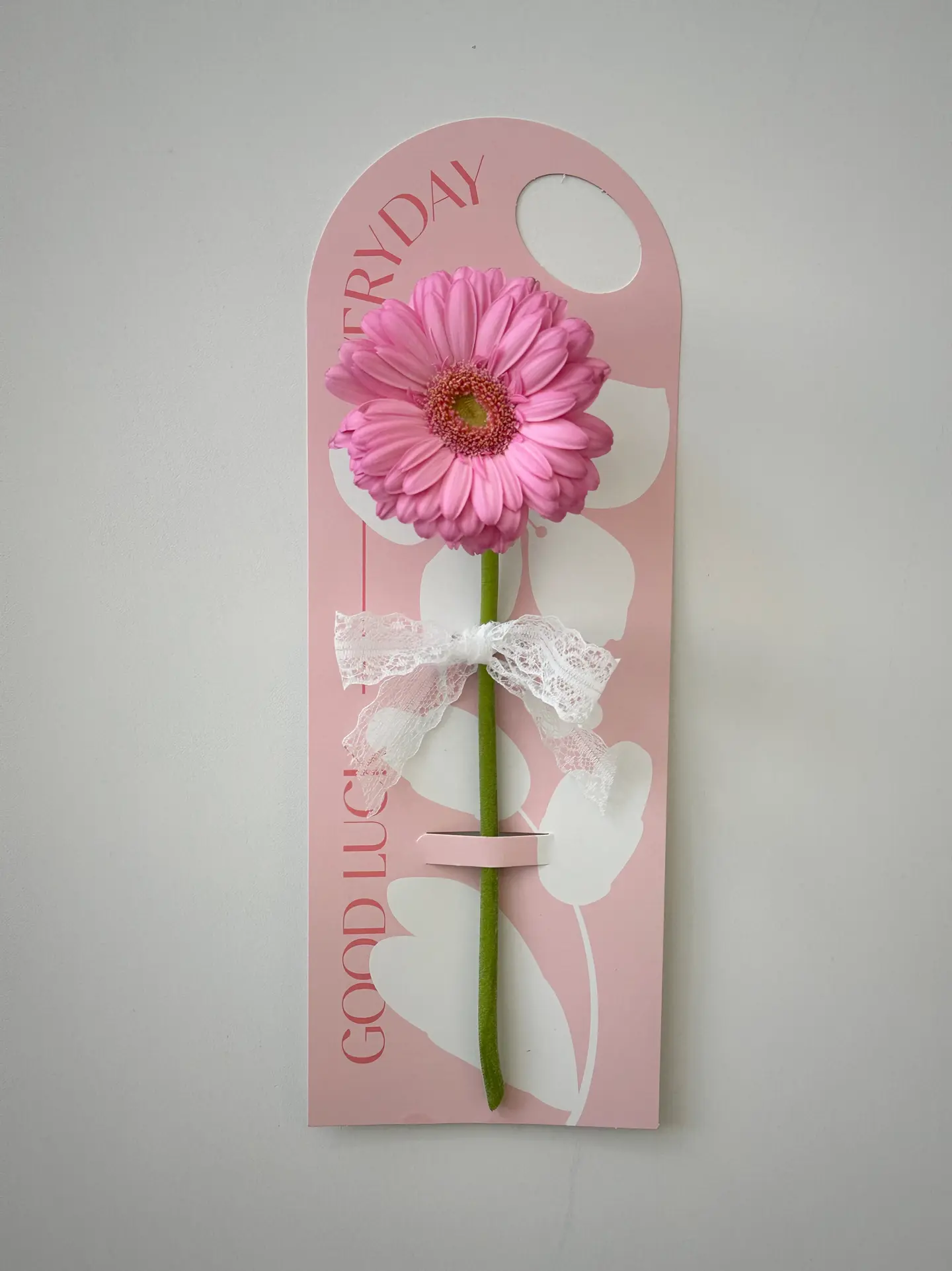 Gerbera A