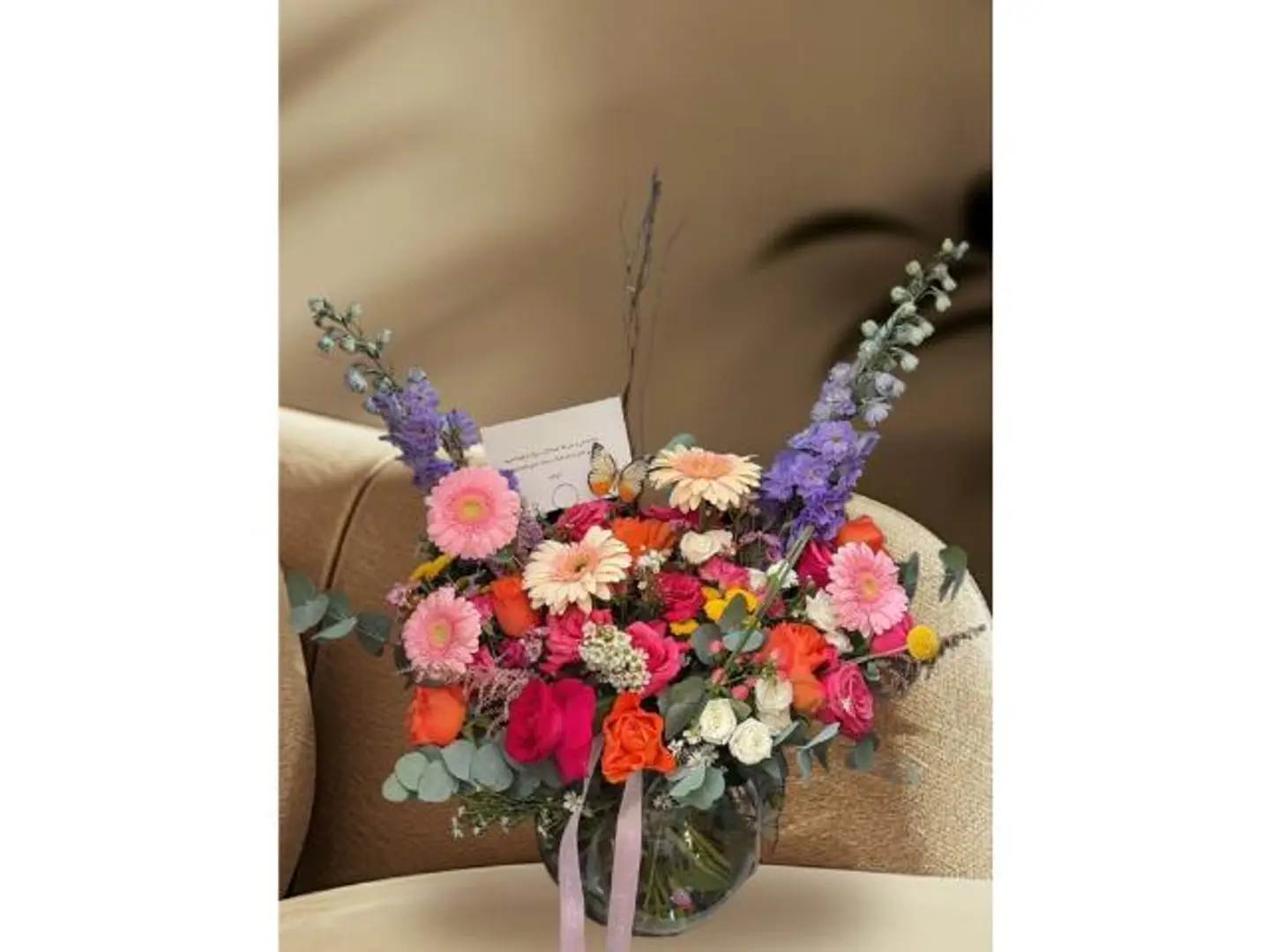 فازه الدلفنيم والجلبيراء المناسبه