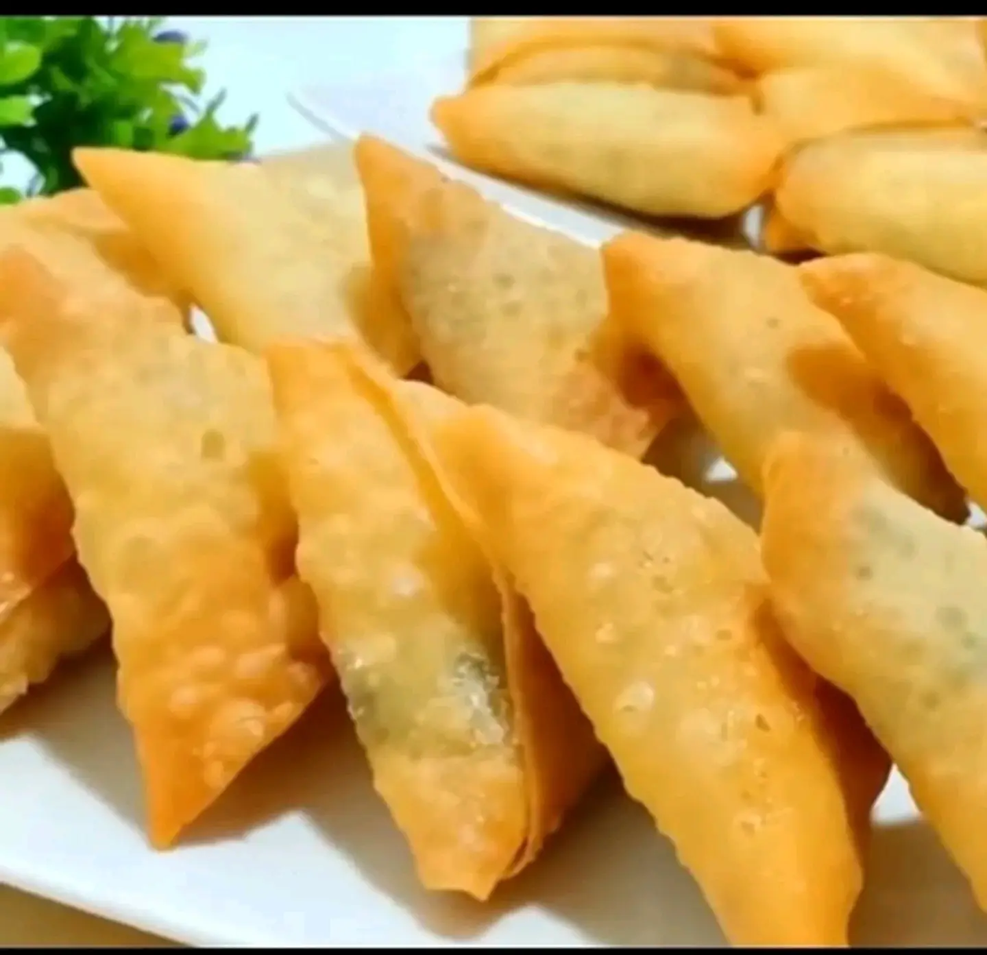 Cheese Samosa Salty