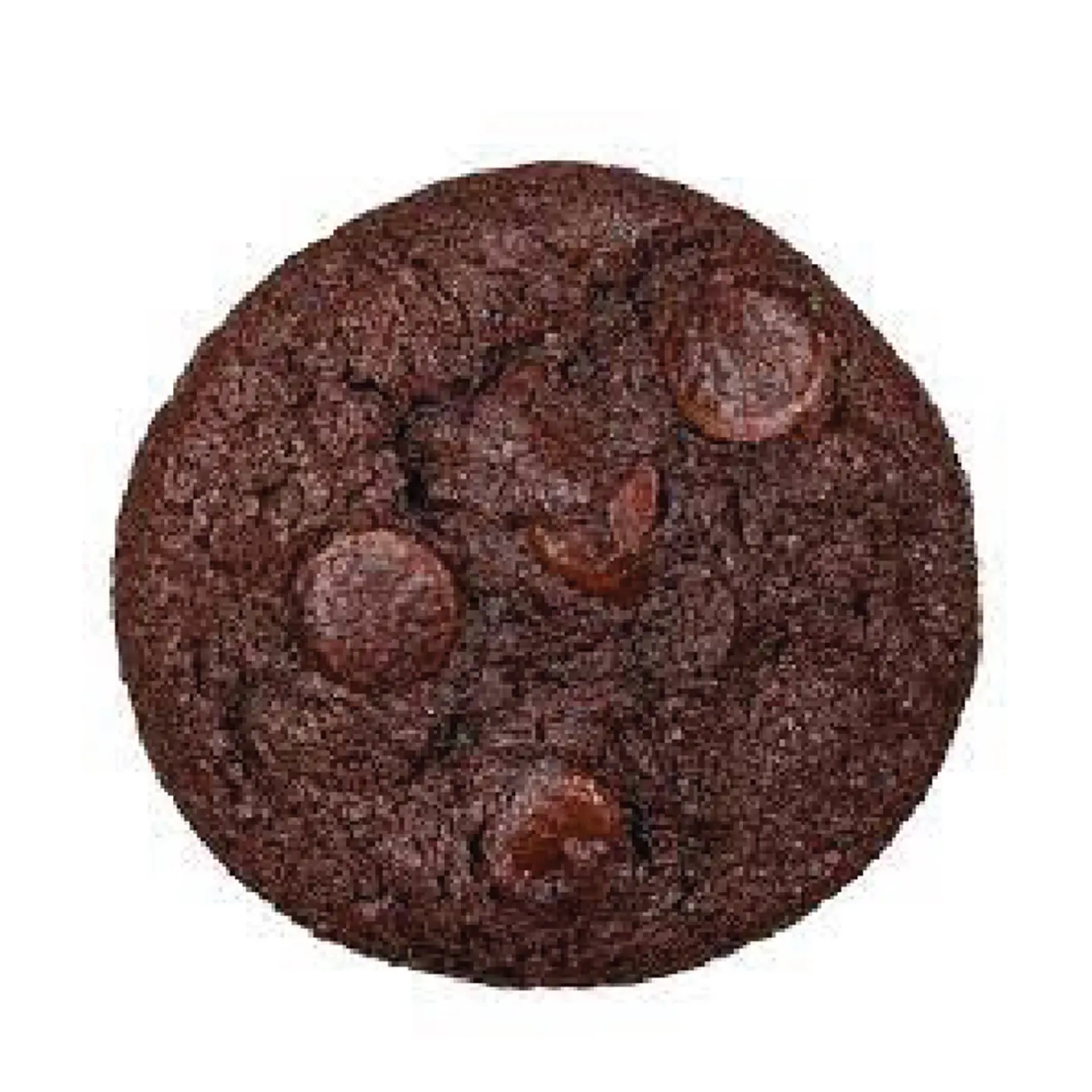 Double Chocolate Cookie