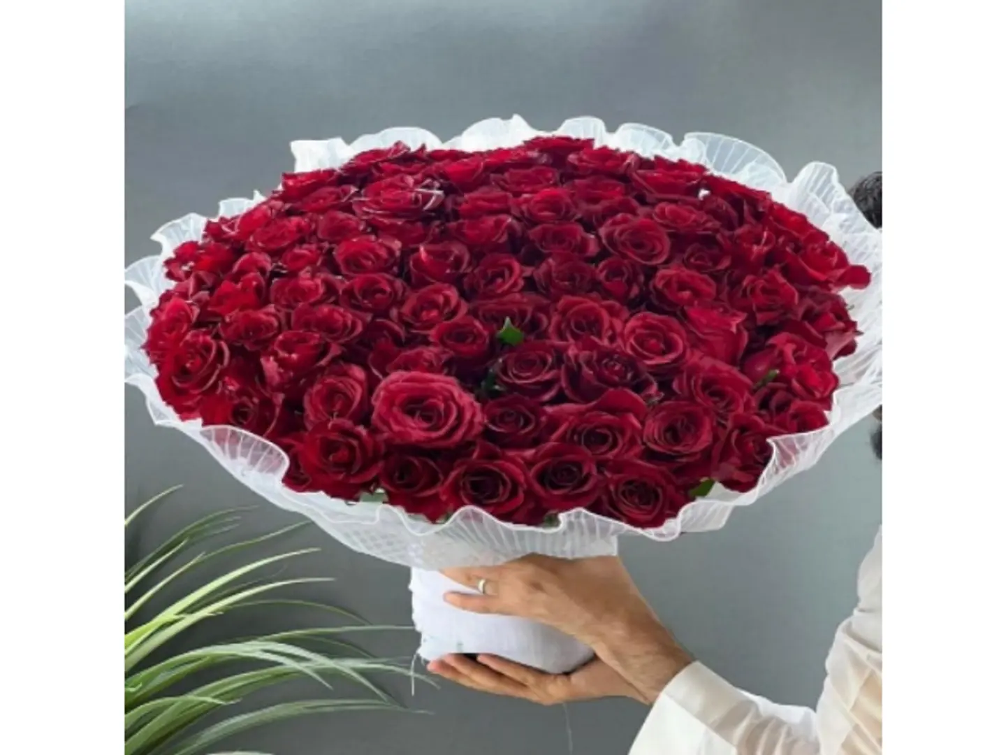 باقة المشاعر