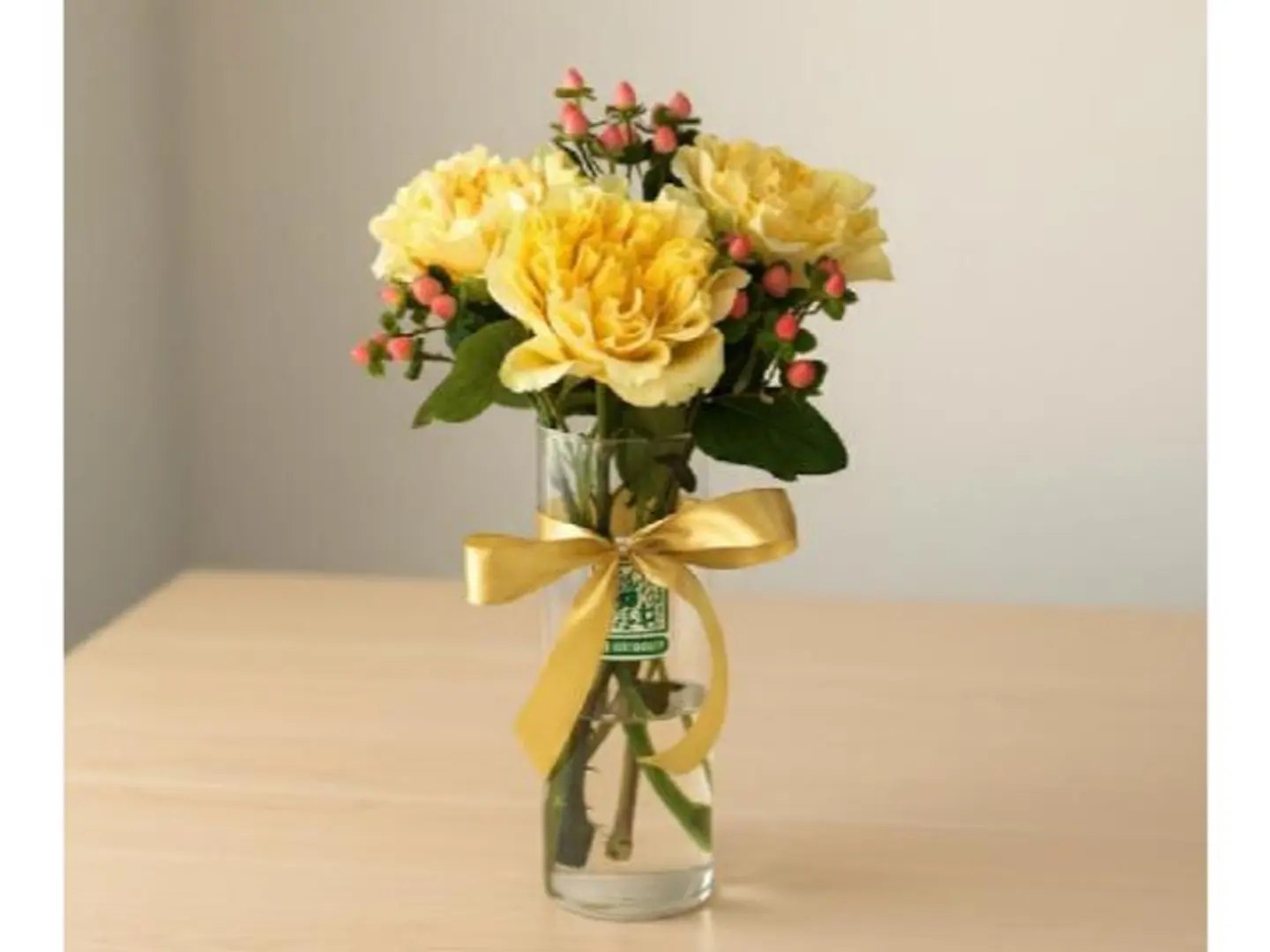 Only With Us In Ksa, Dutch Turtle 427