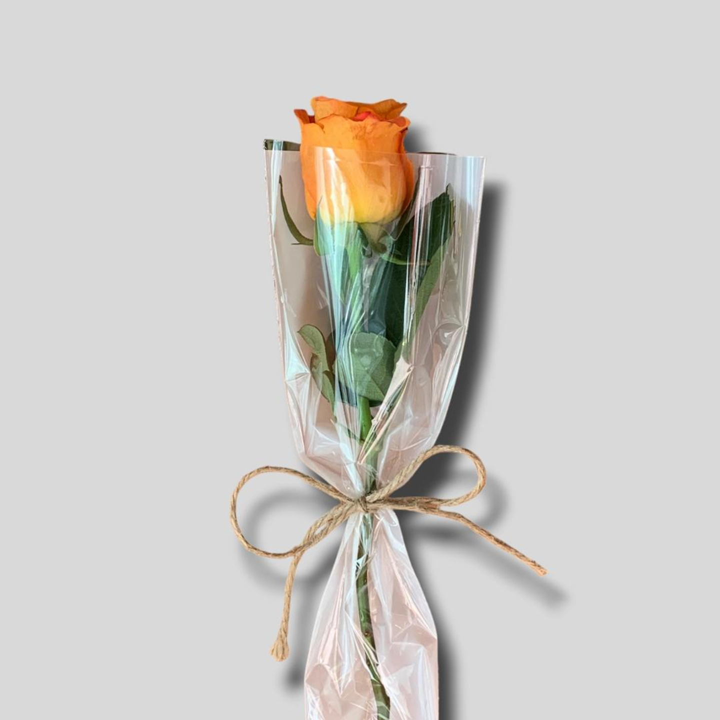 توزيعات الجوري اورنج