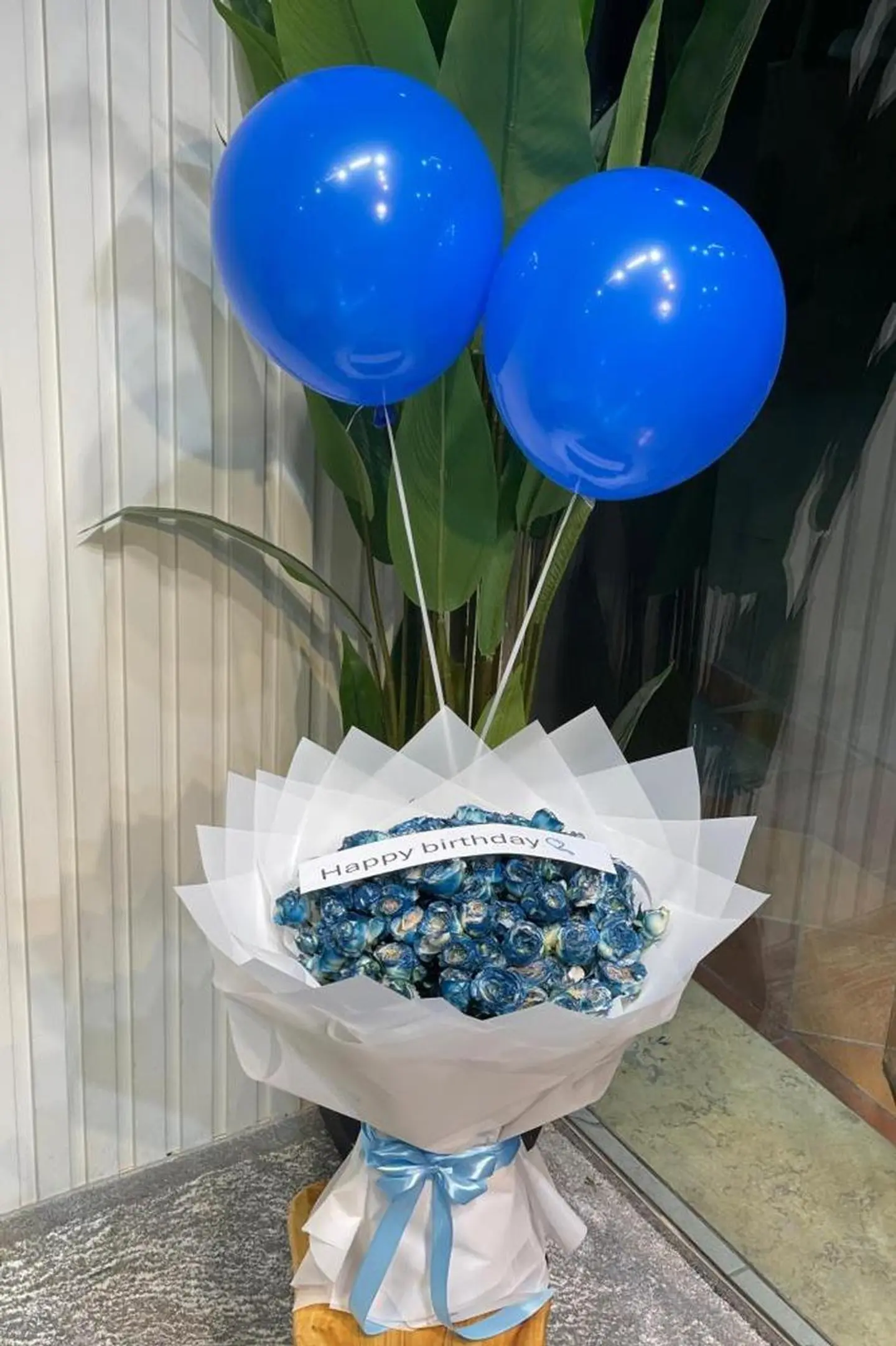 بوكي مولود نور الدنيا