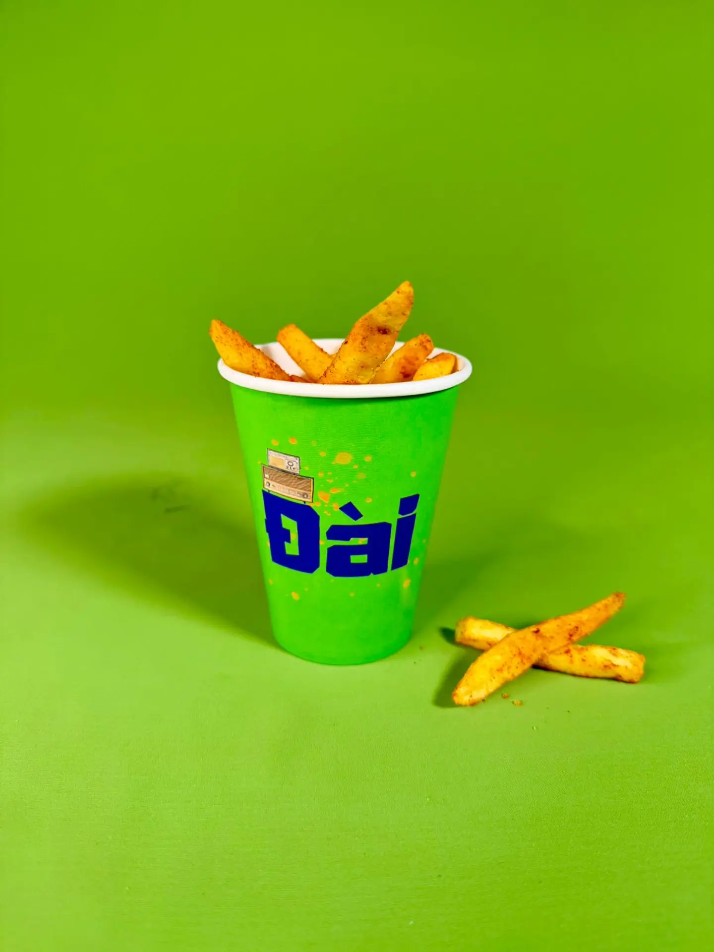 Day Seasoned Fries With Special Spices Blend