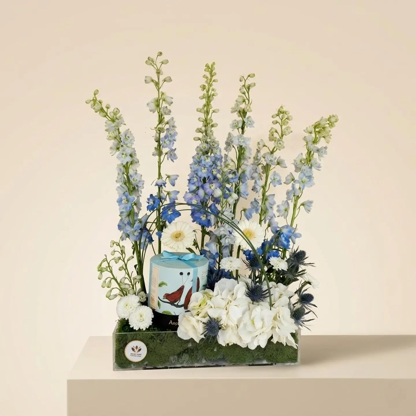 Acrylic Box With Anoush