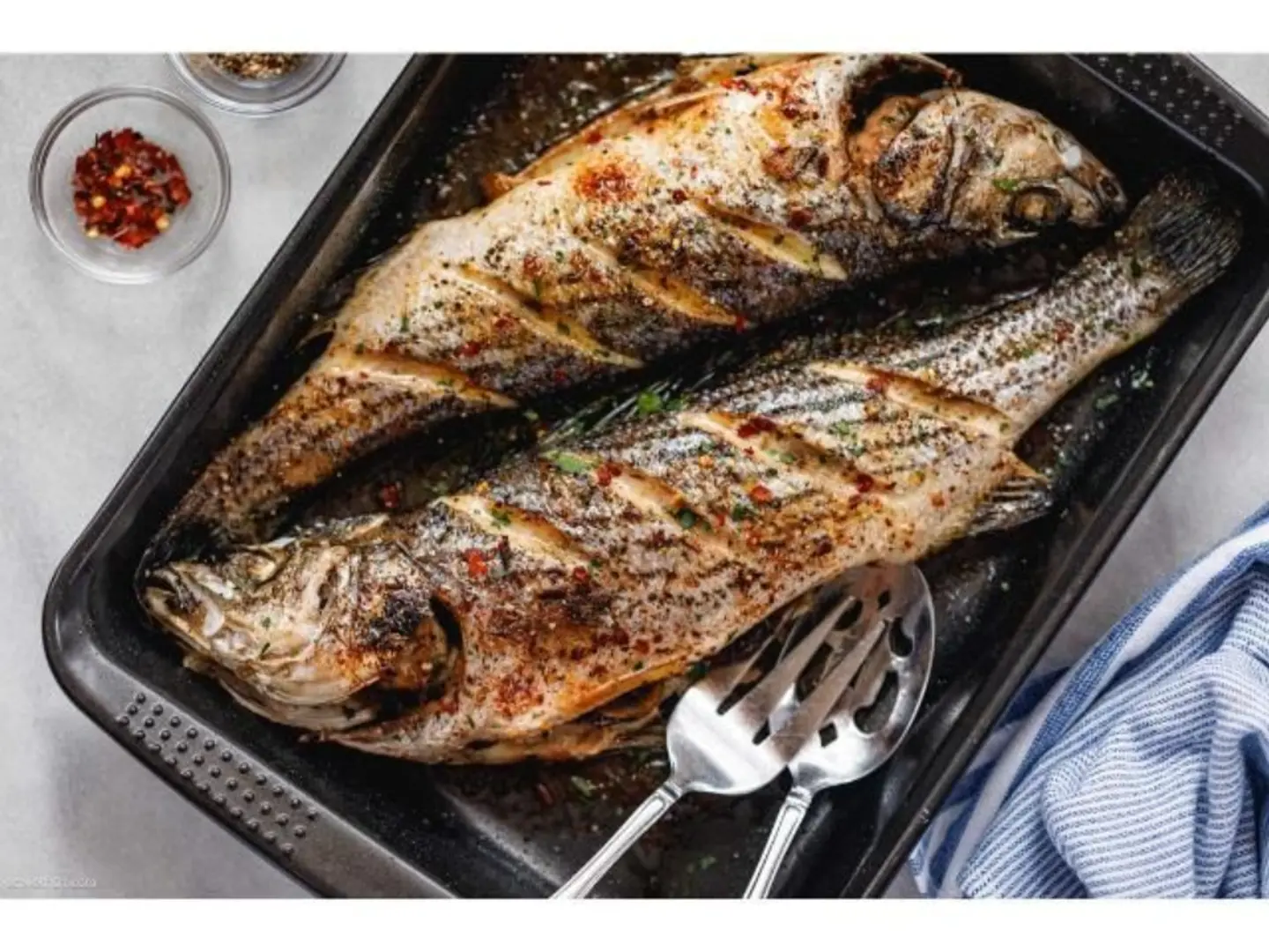 Kilo Bass
