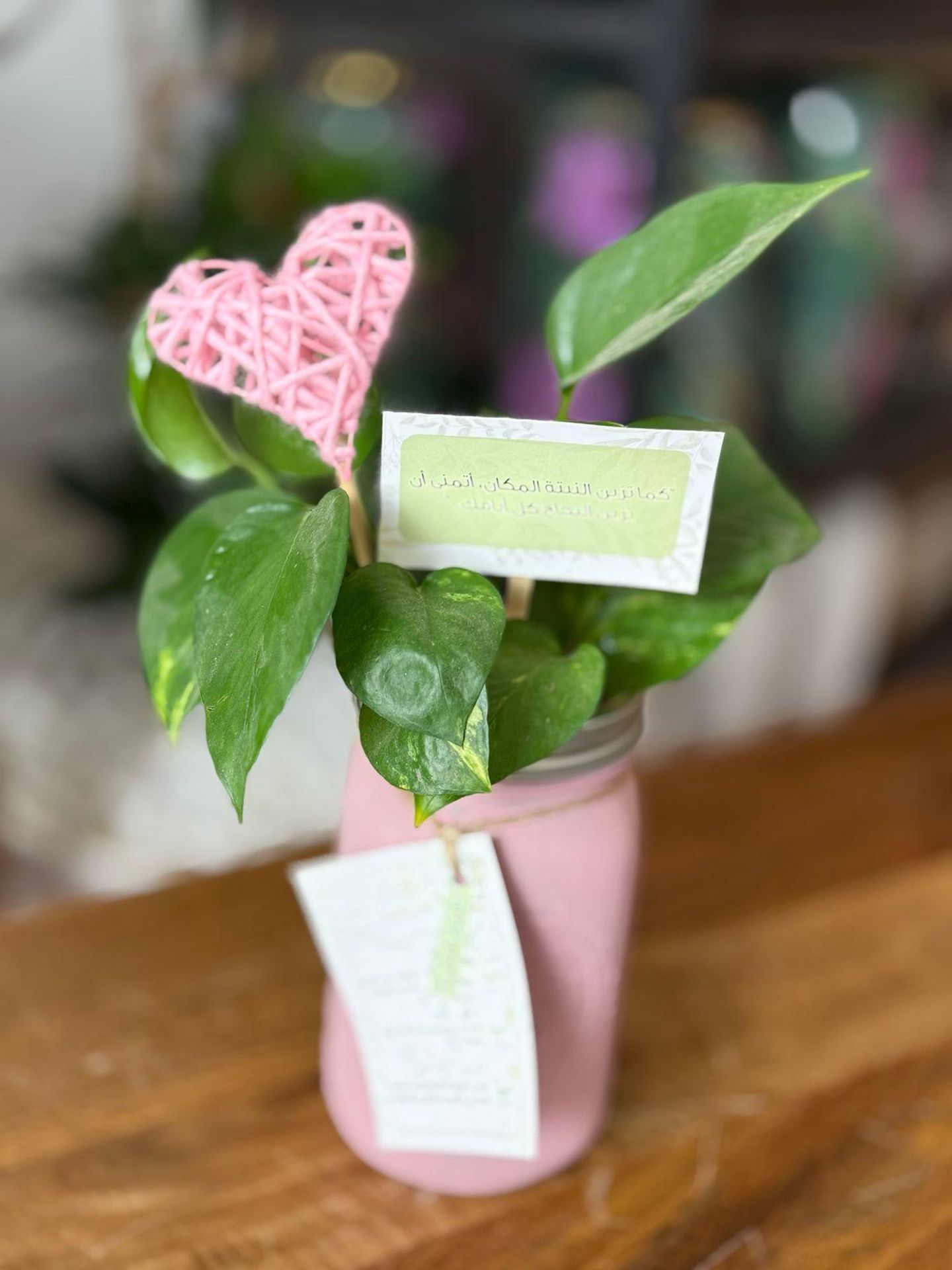 Pothos Plant With Pink Heart
