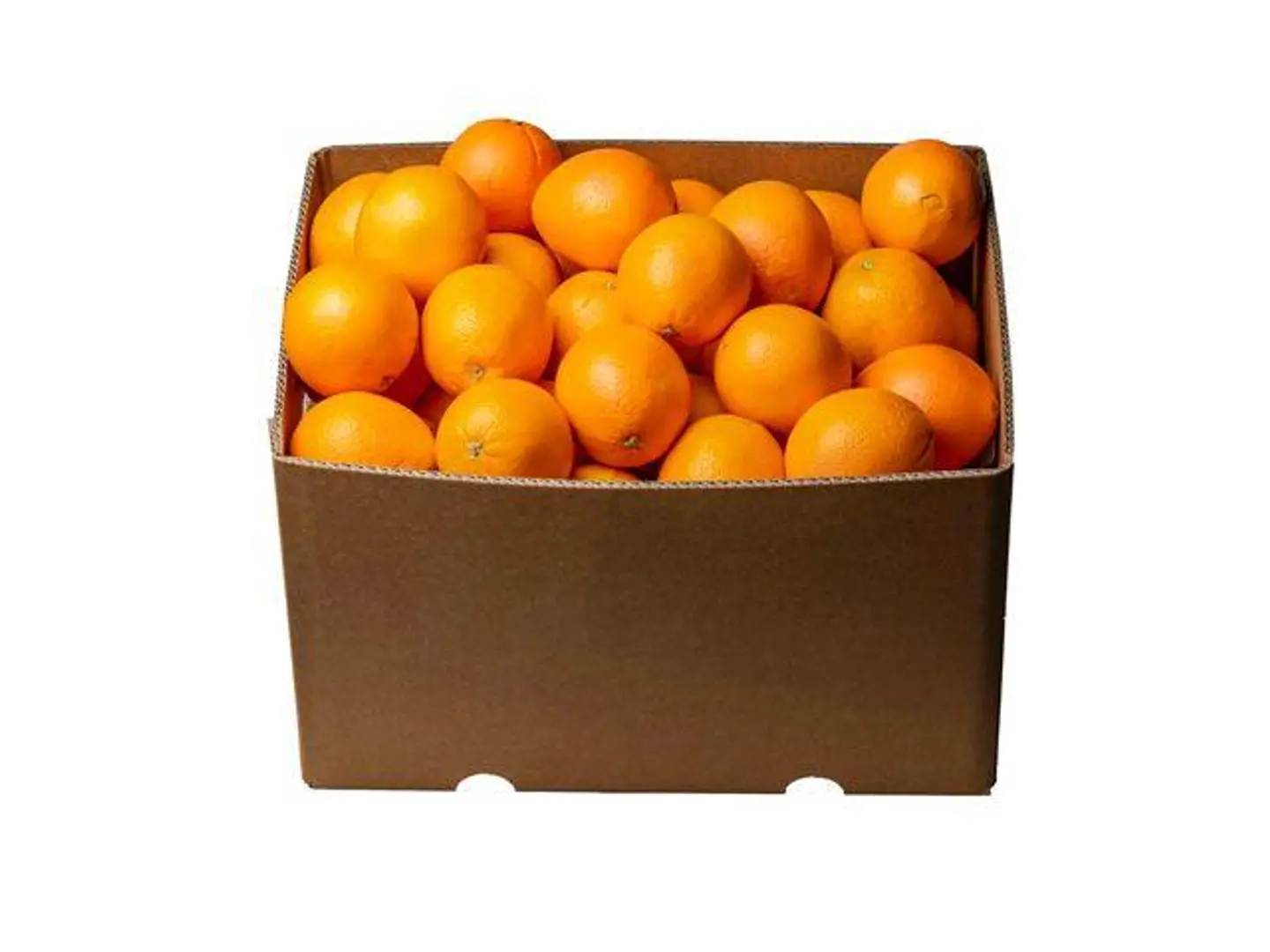 Medium Box Oranges