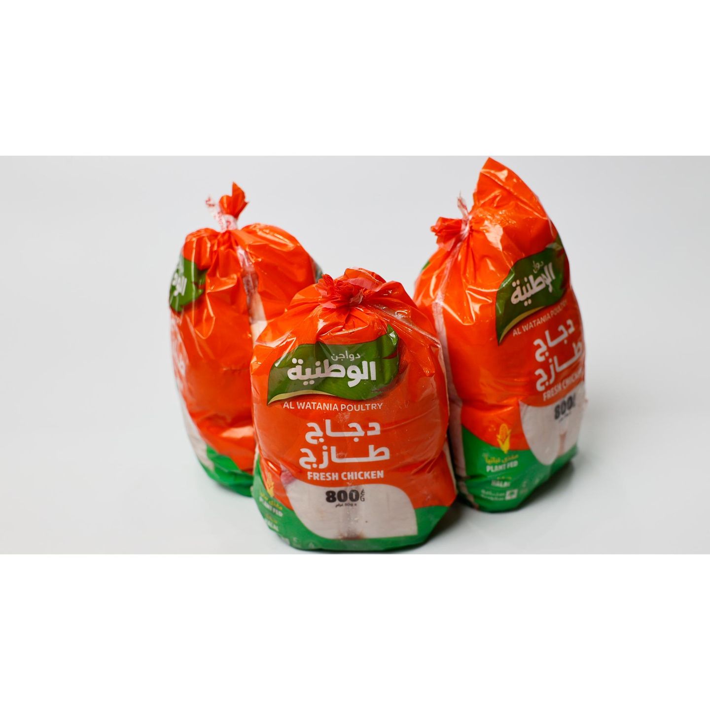 دجاج