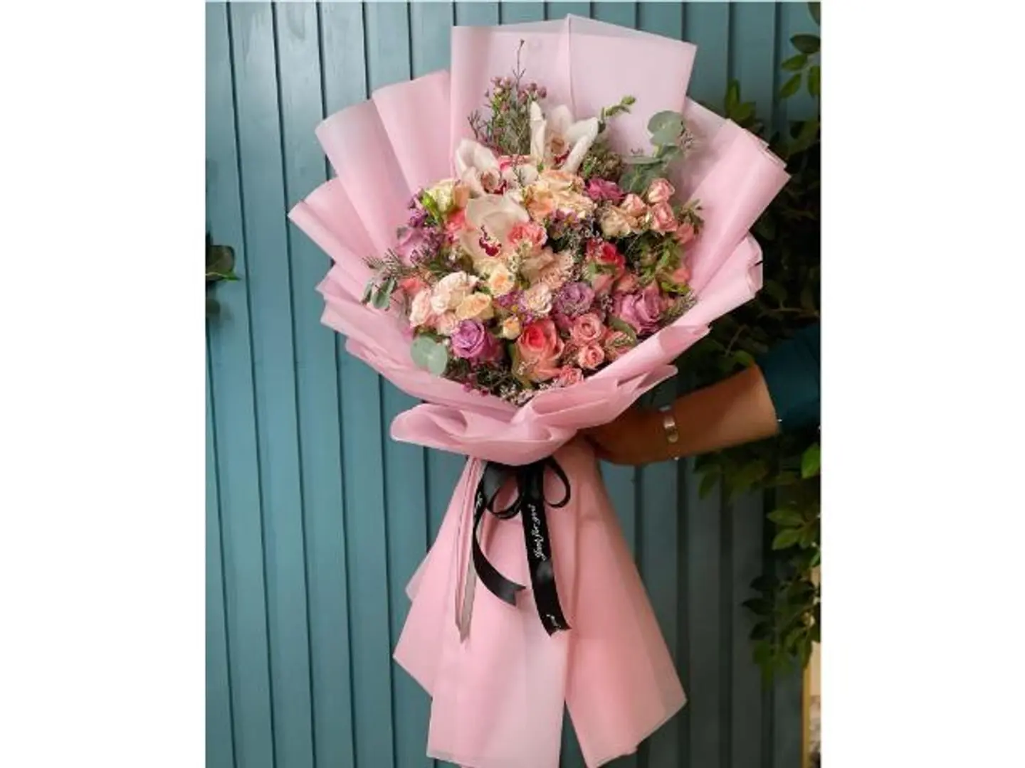 بوكيع بيبي روز مع جوري