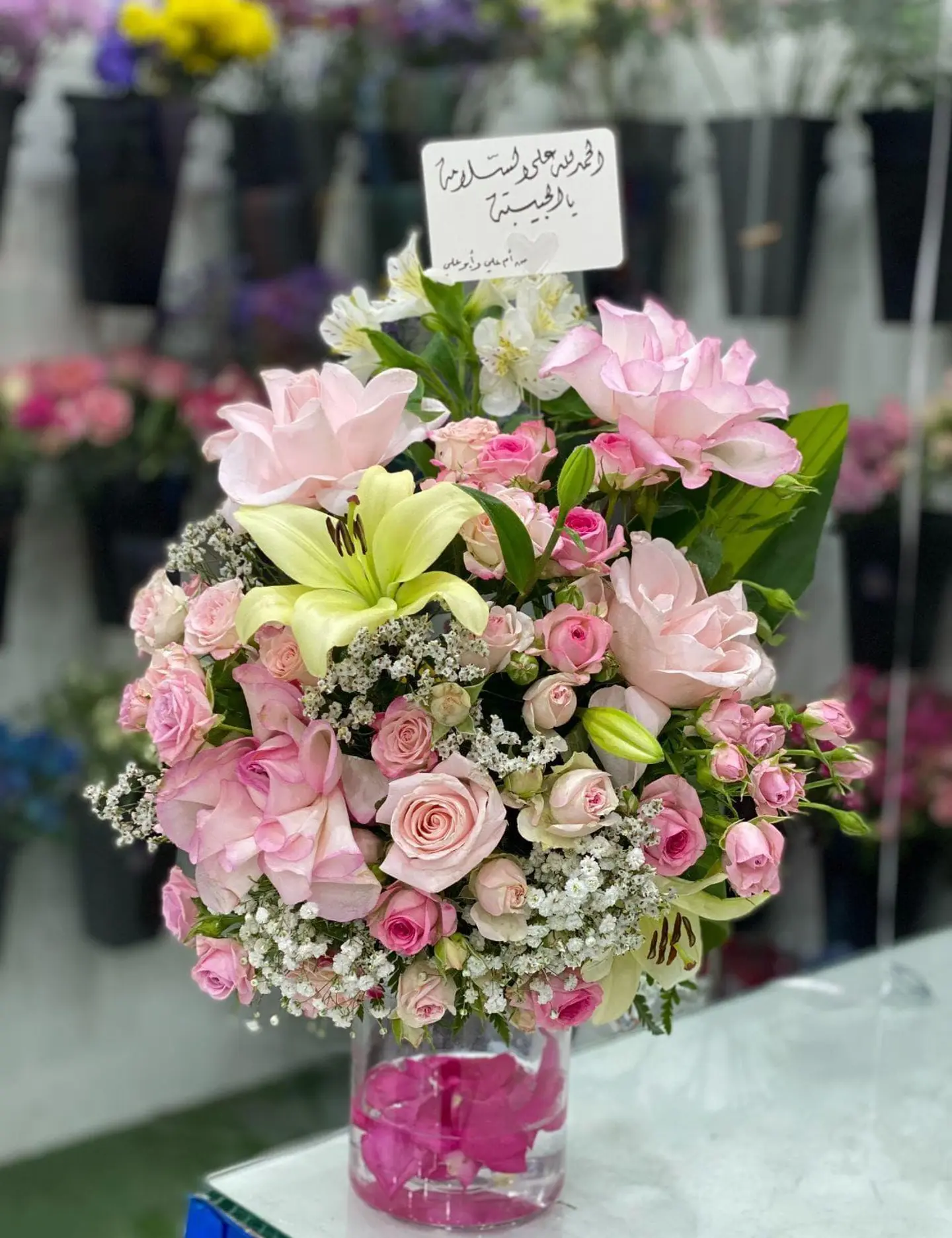 Vase Of Life