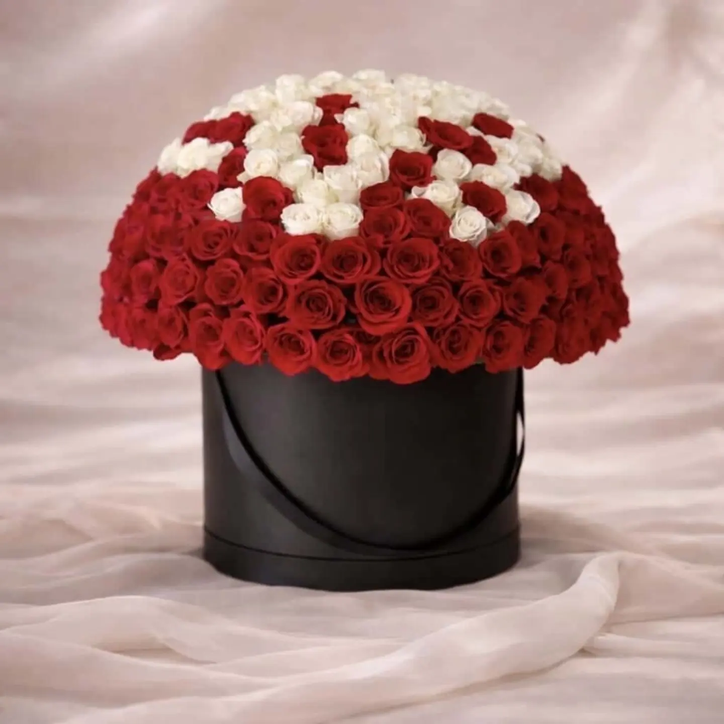 ريد غاردن بوكس