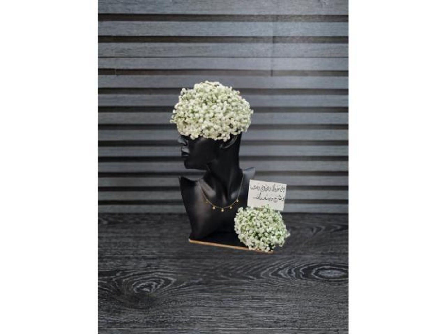 Gypsum Mannequin