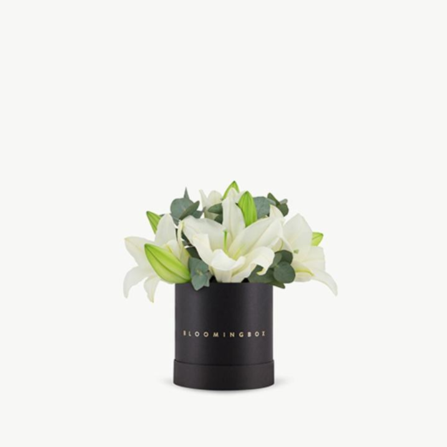 Classic Lilies Box Small