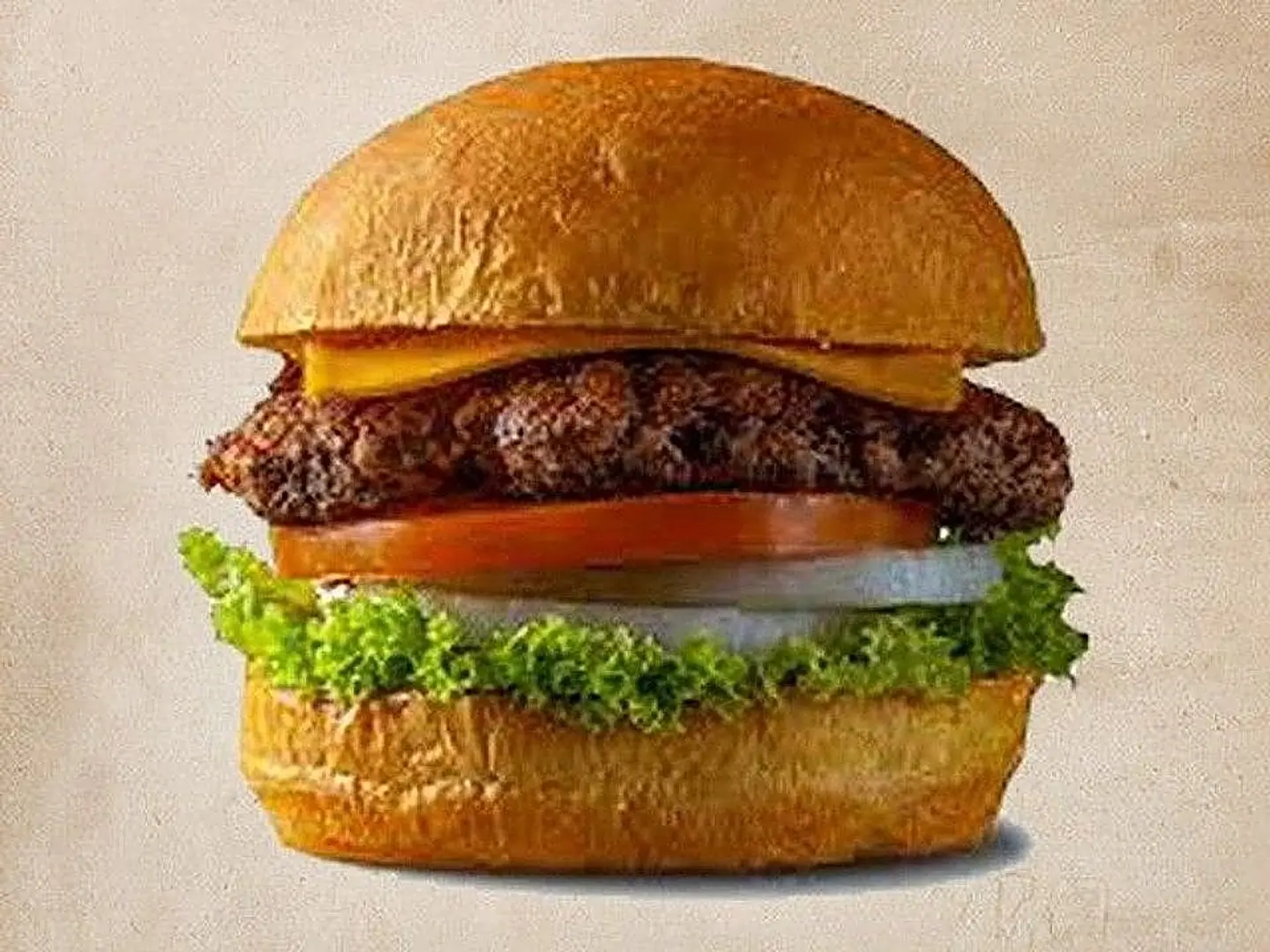 Single Meat Burger Meal